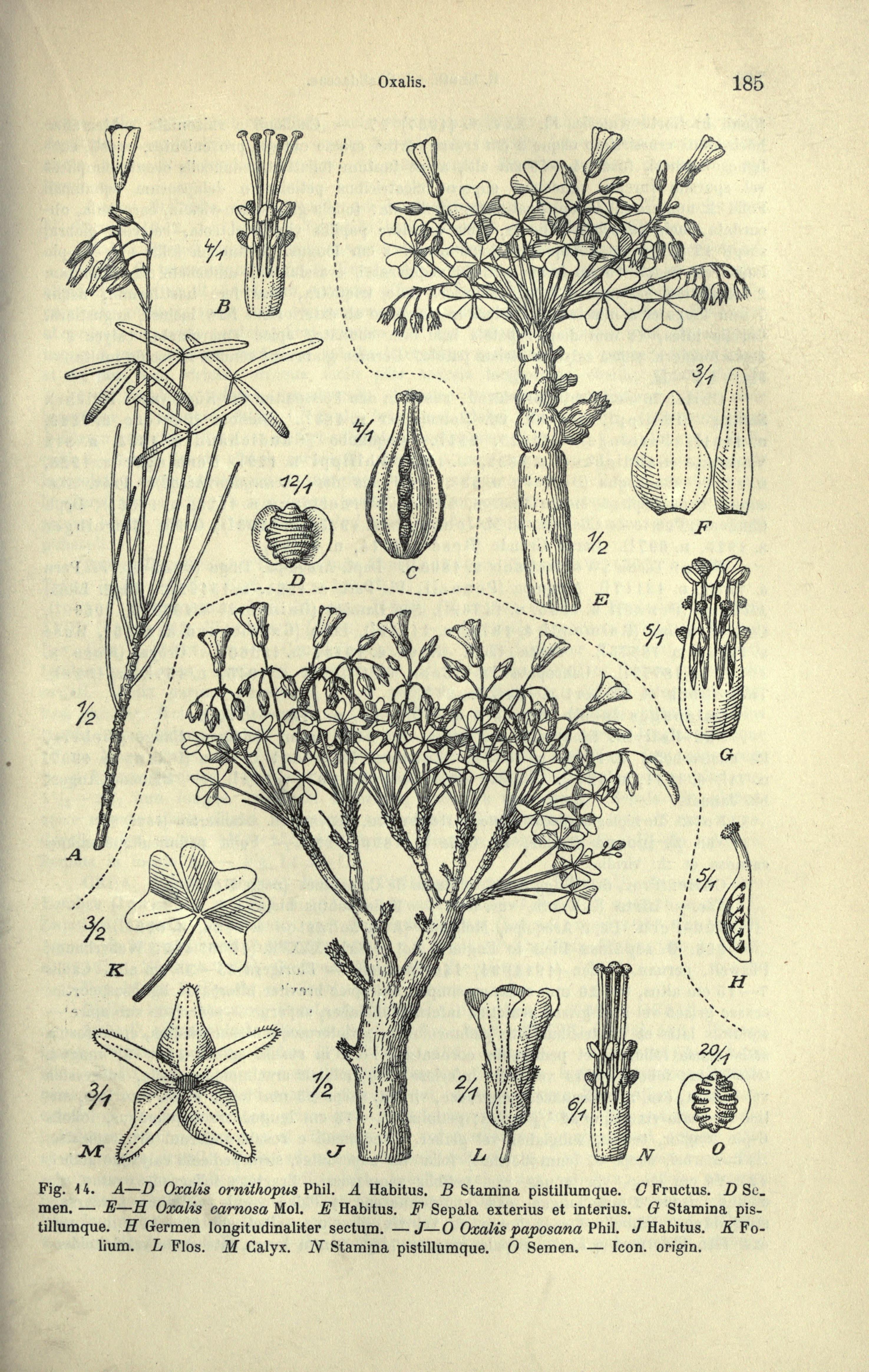 no full size  illustration available (3a)