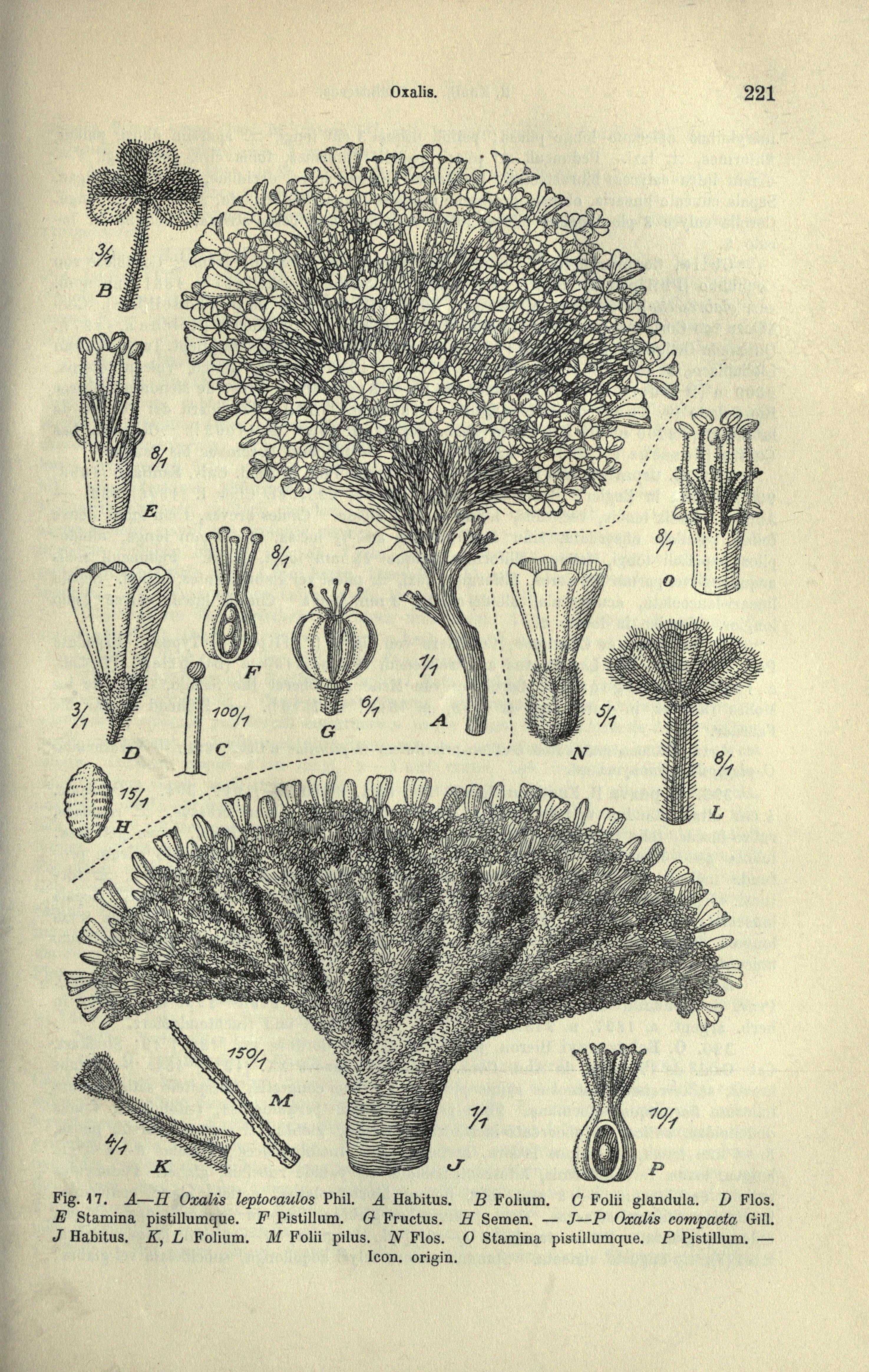 no full size  illustration available (3a)