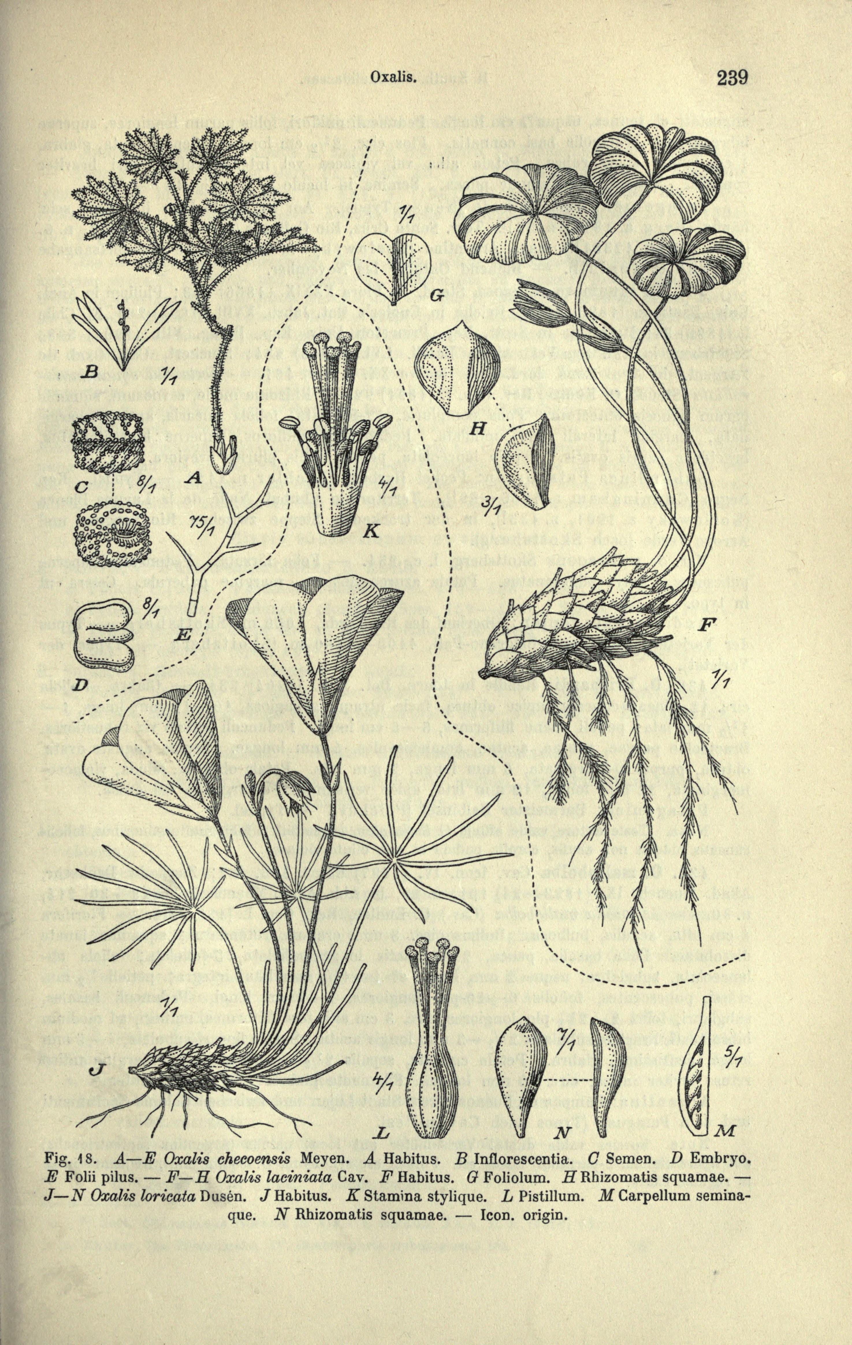 no full size  illustration available (3a)