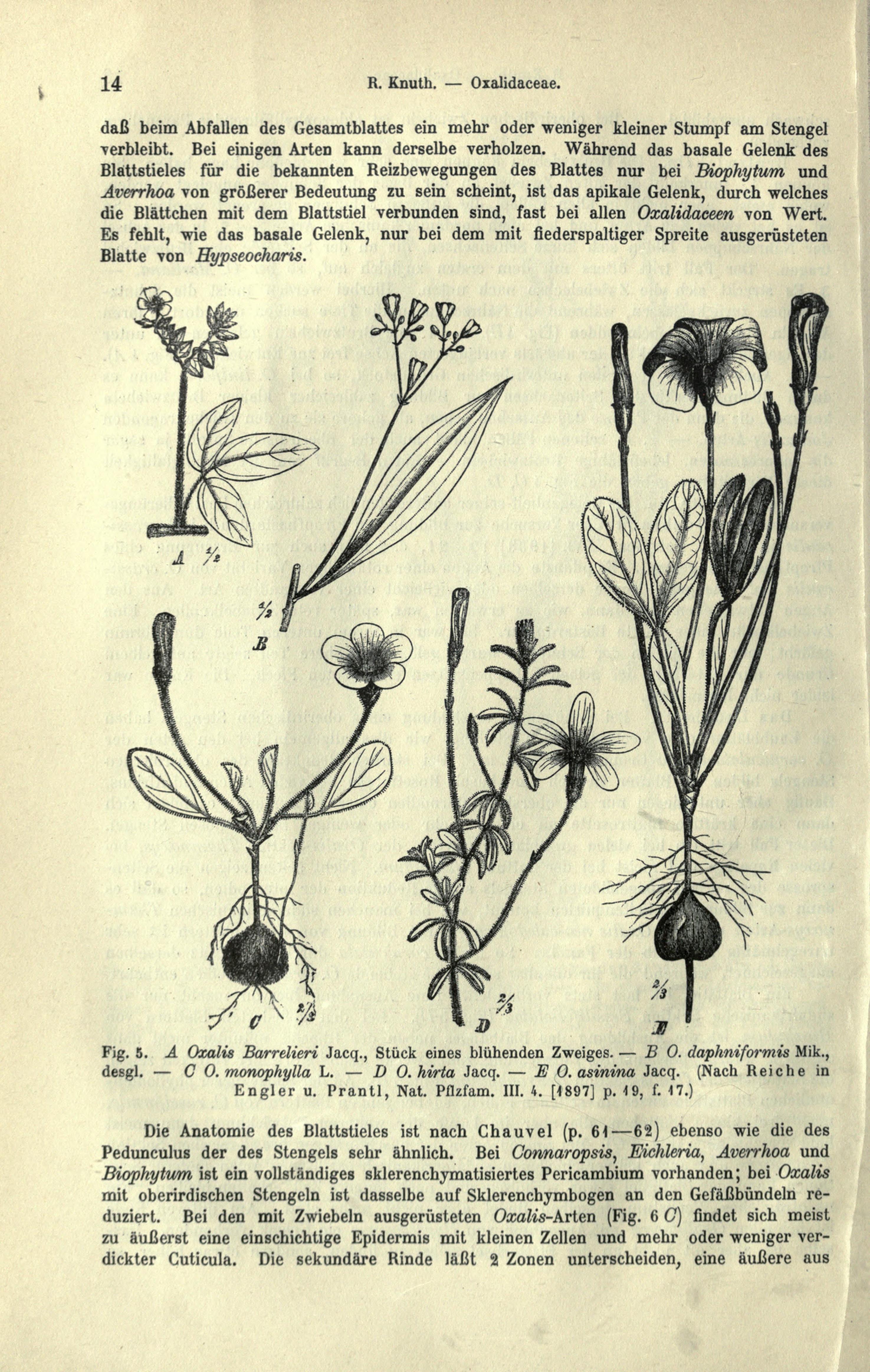 no full size  illustration available (3a)