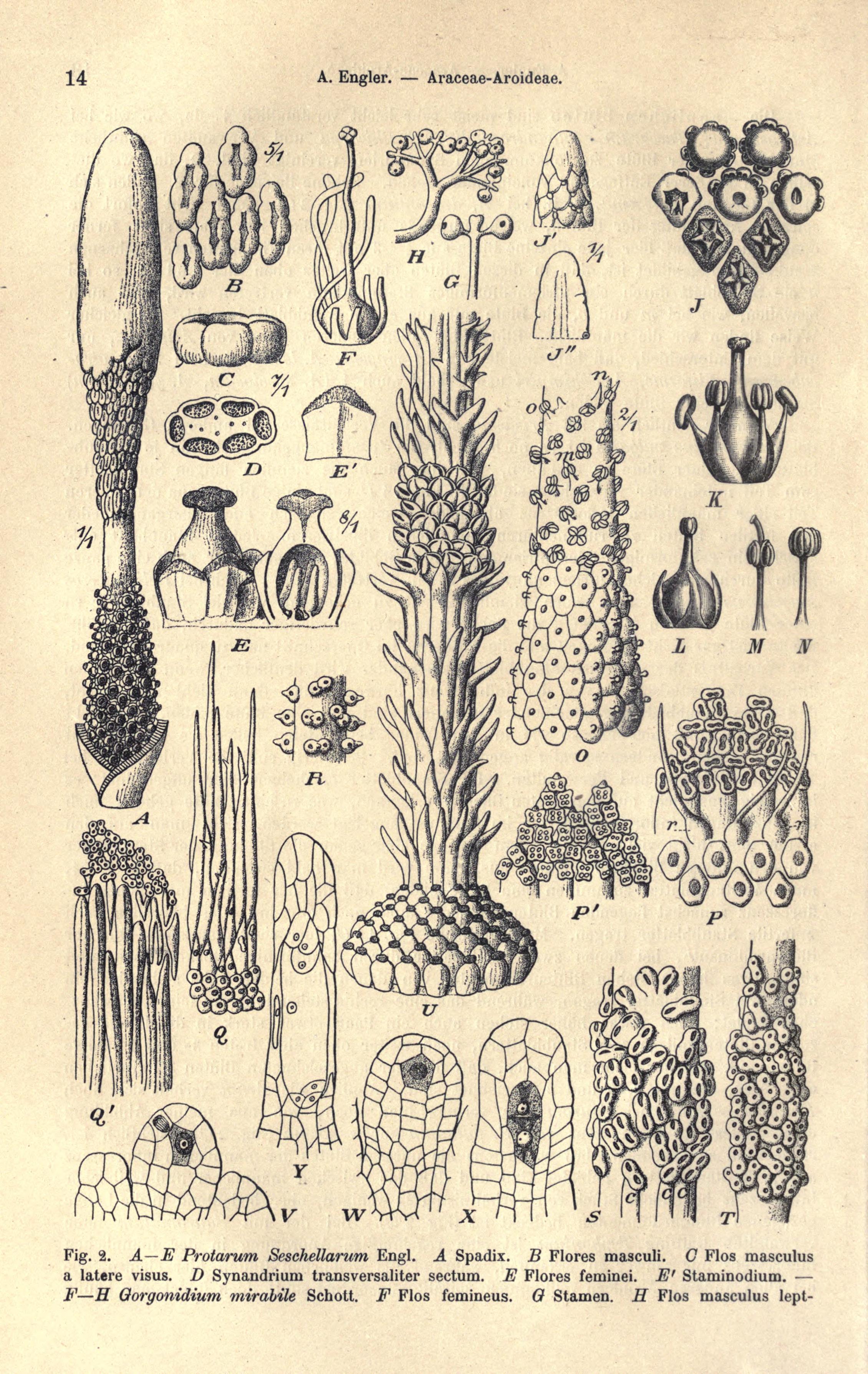 no full size  illustration available (3a)