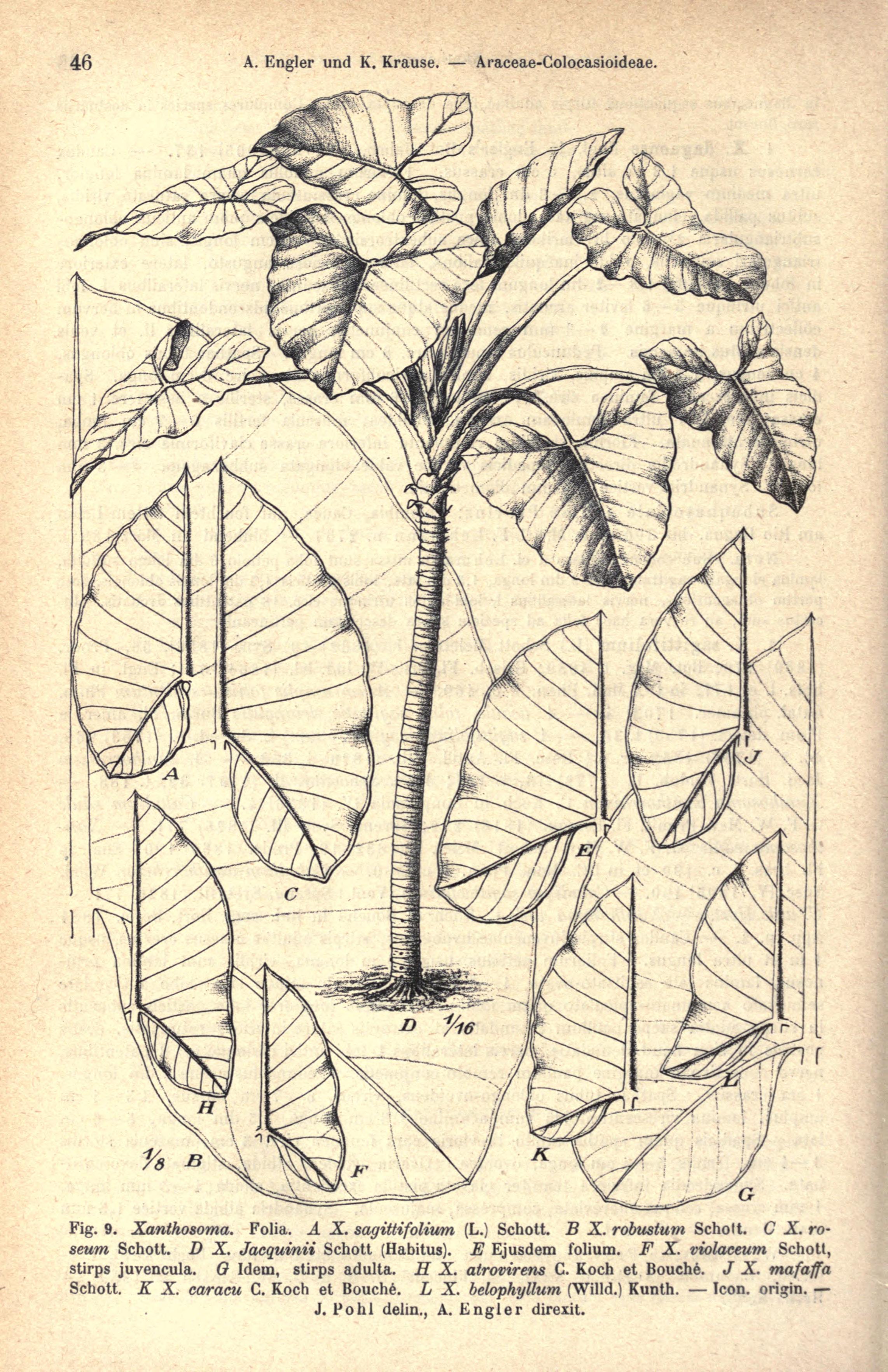 no full size  illustration available (3a)