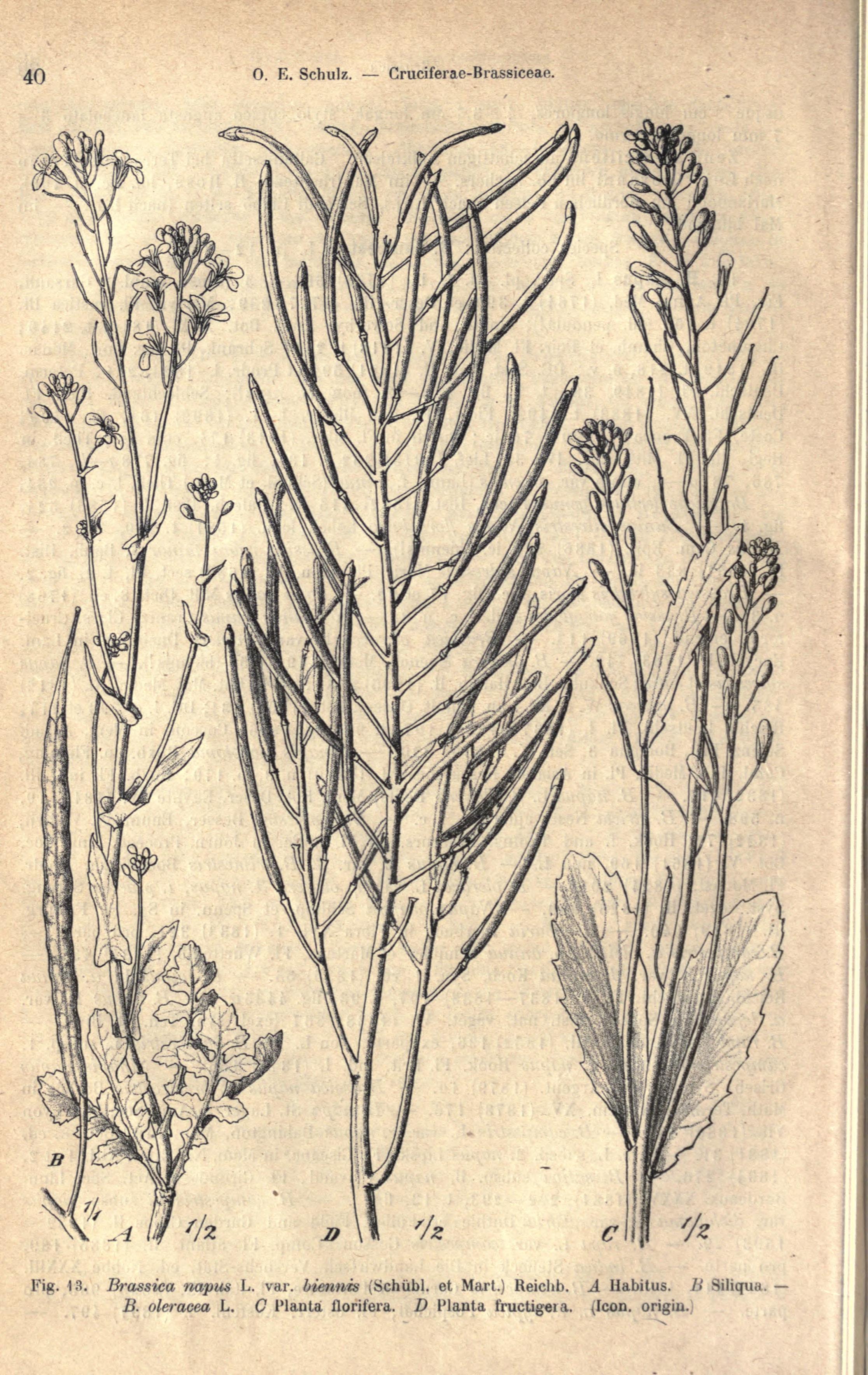 no full size  illustration available (3a)