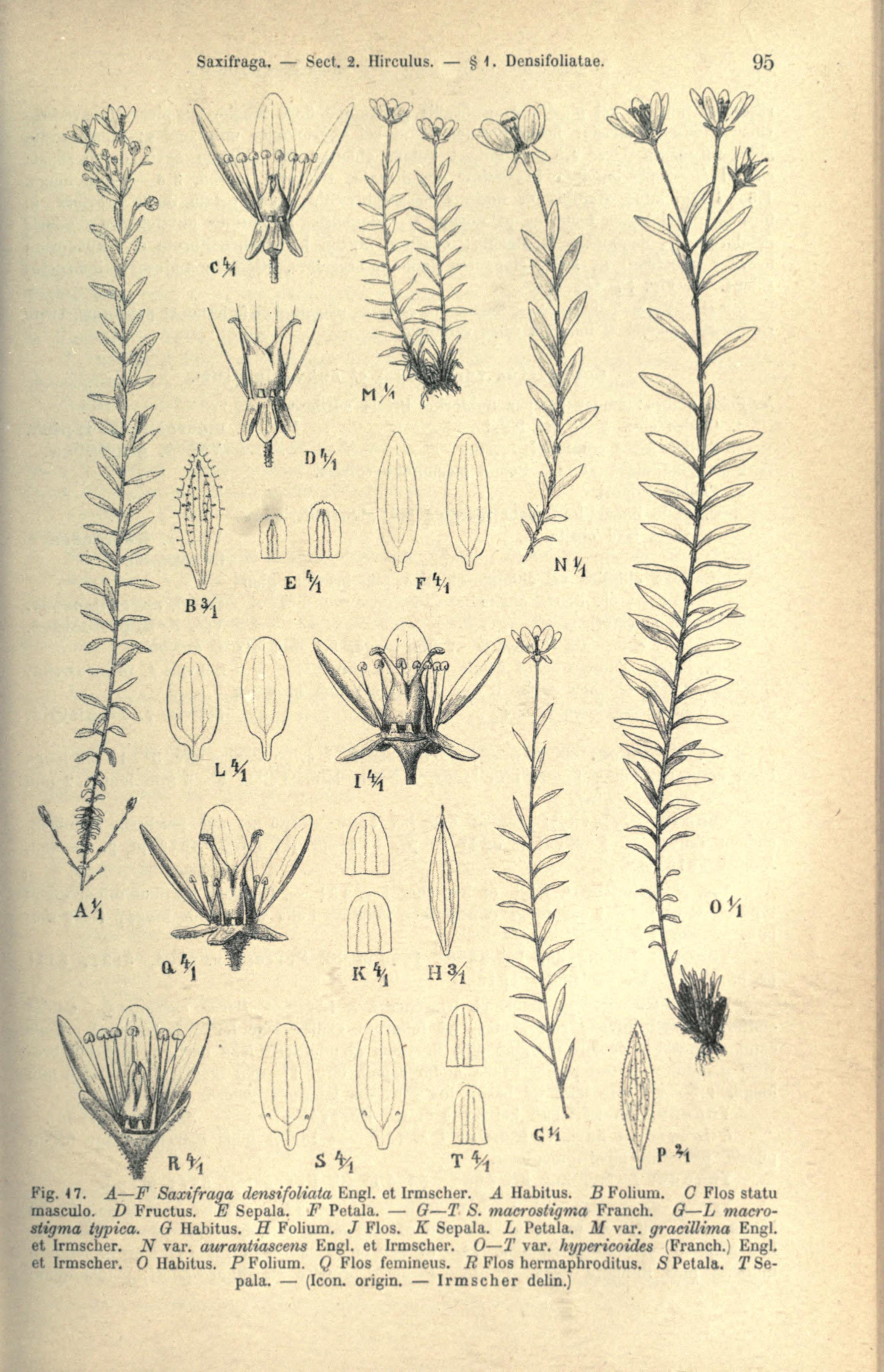 no full size  illustration available (3a)