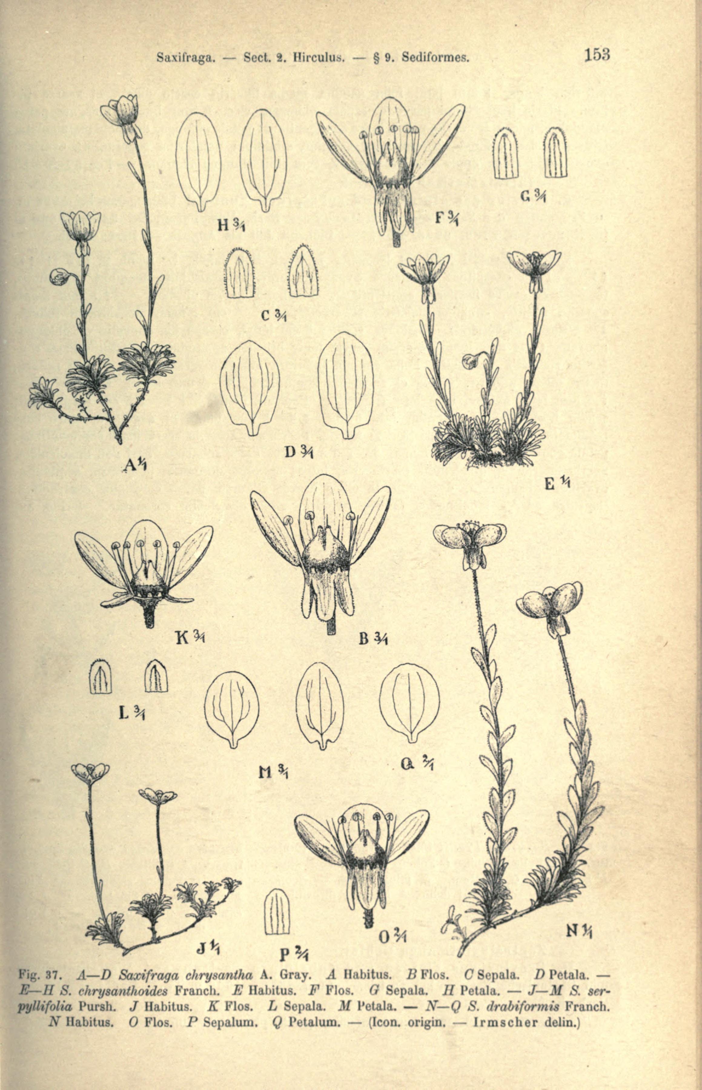 no full size  illustration available (3a)