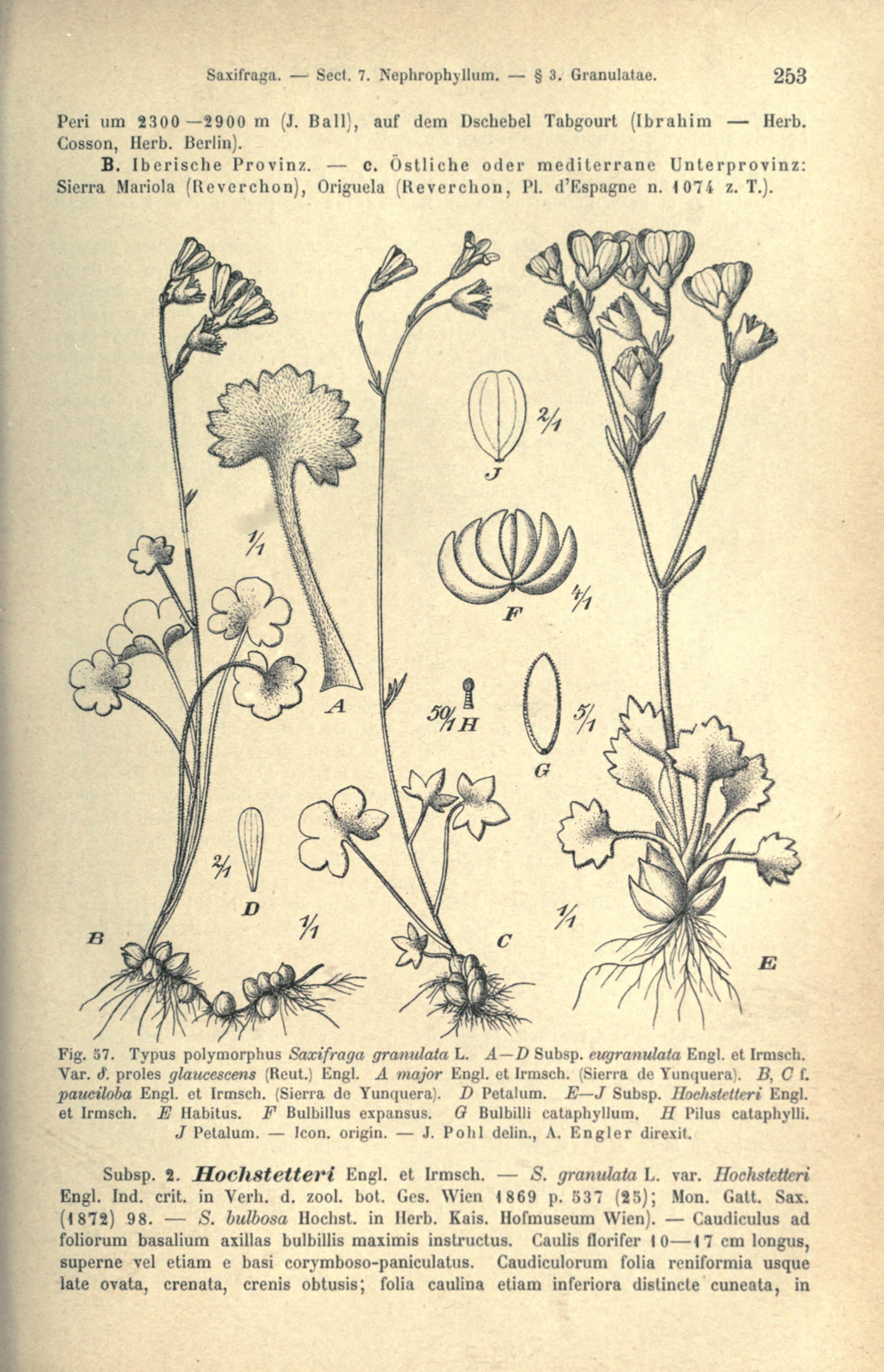 no full size  illustration available (3a)