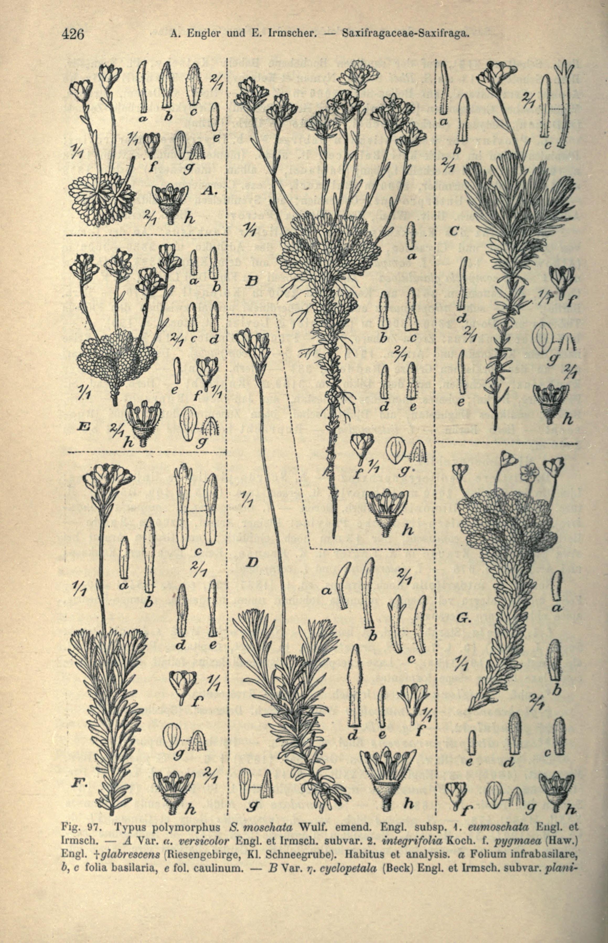 no full size  illustration available (3a)