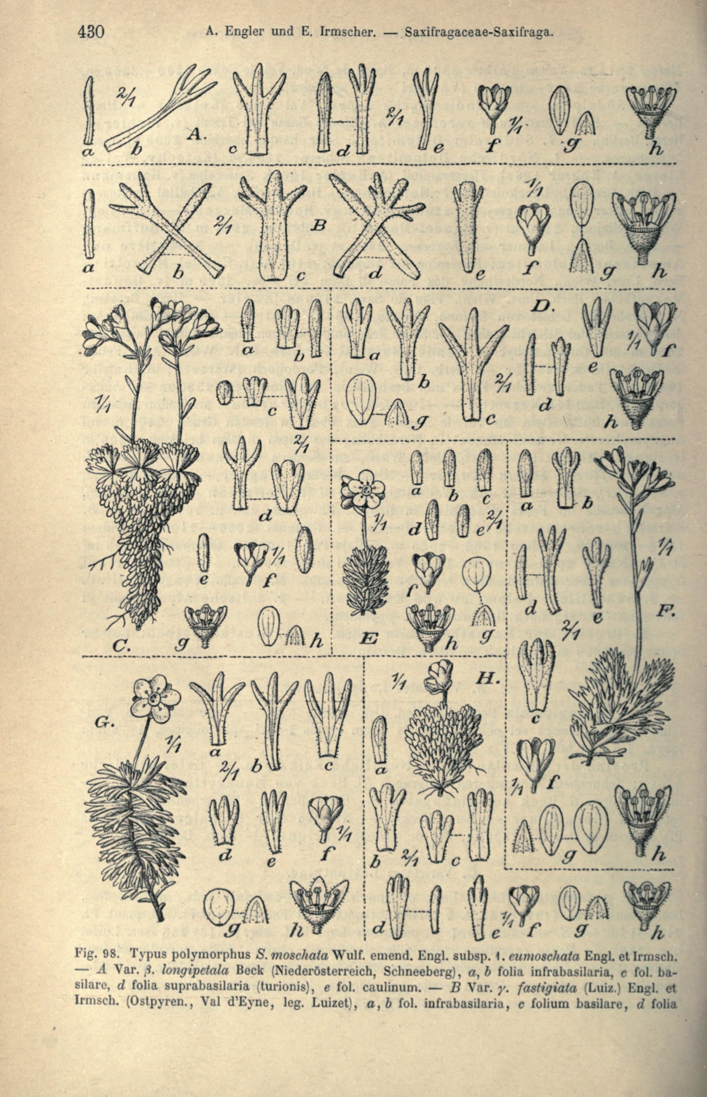 no full size  illustration available (3a)