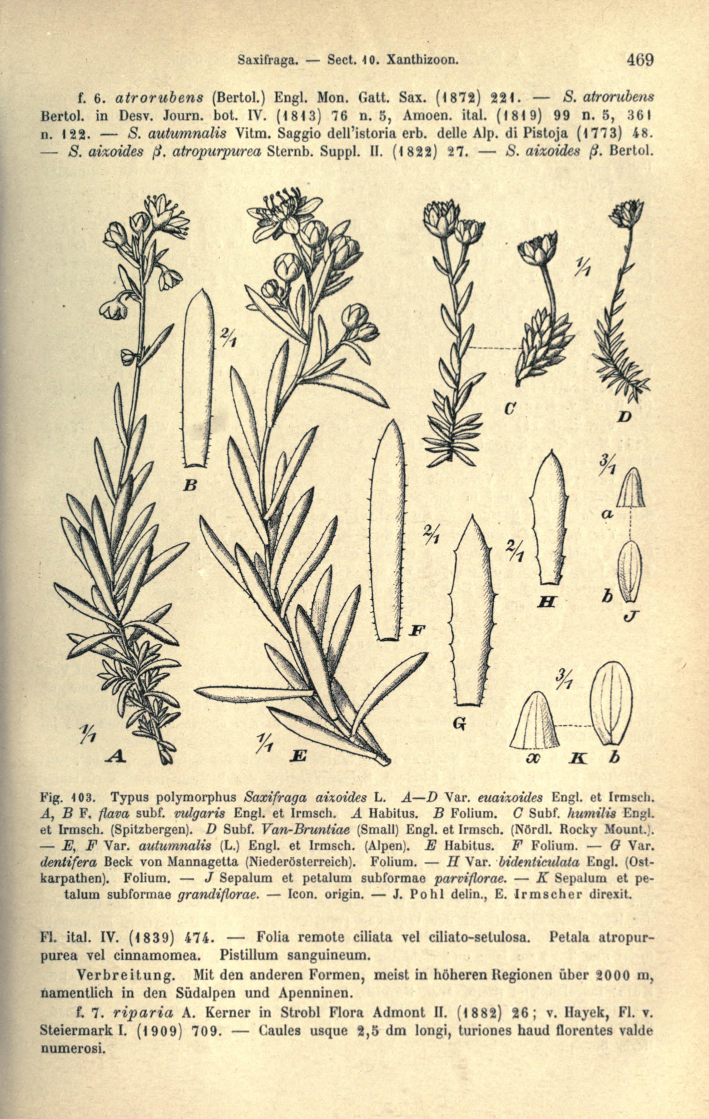 no full size  illustration available (3a)