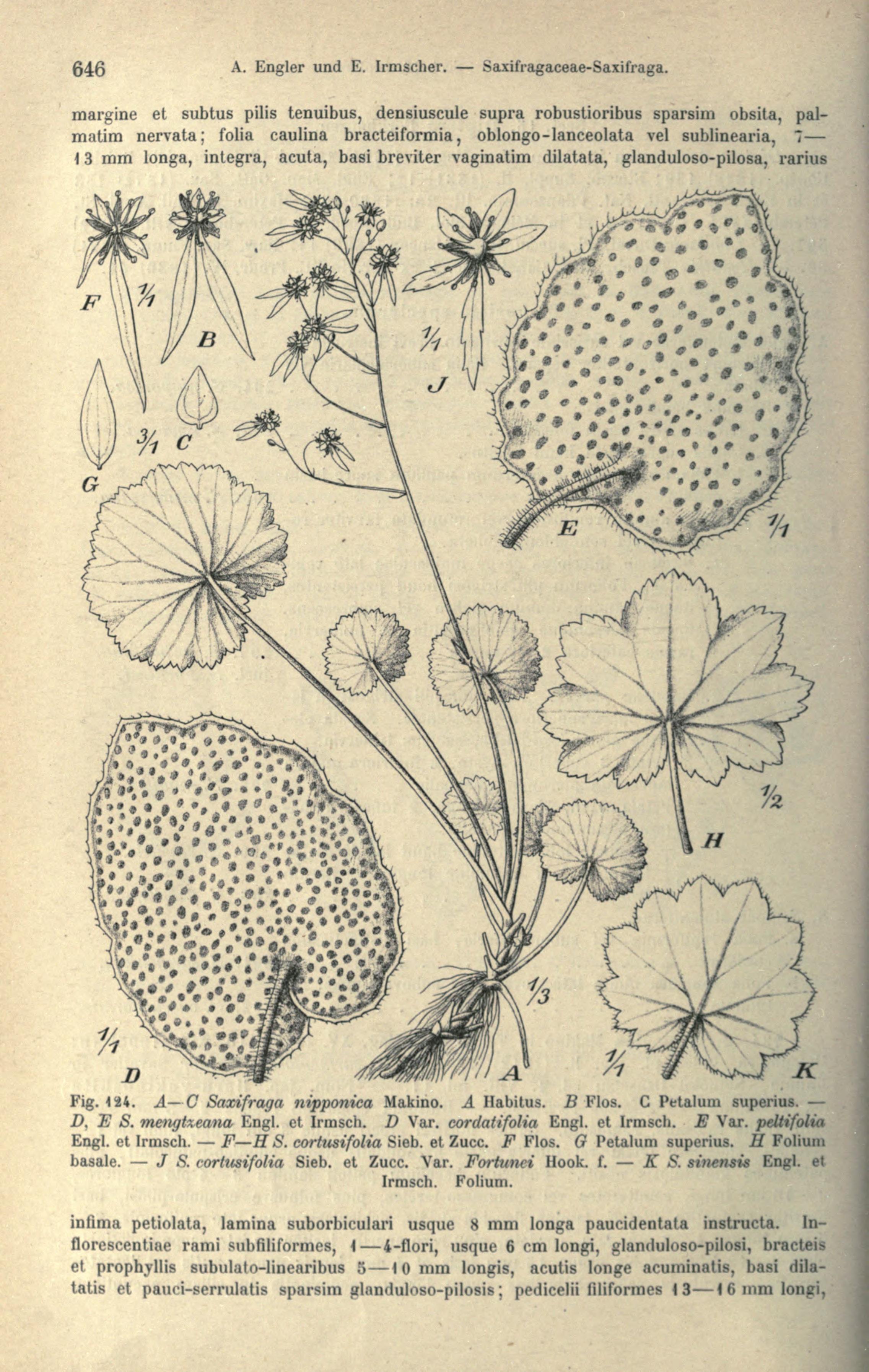 no full size  illustration available (3a)