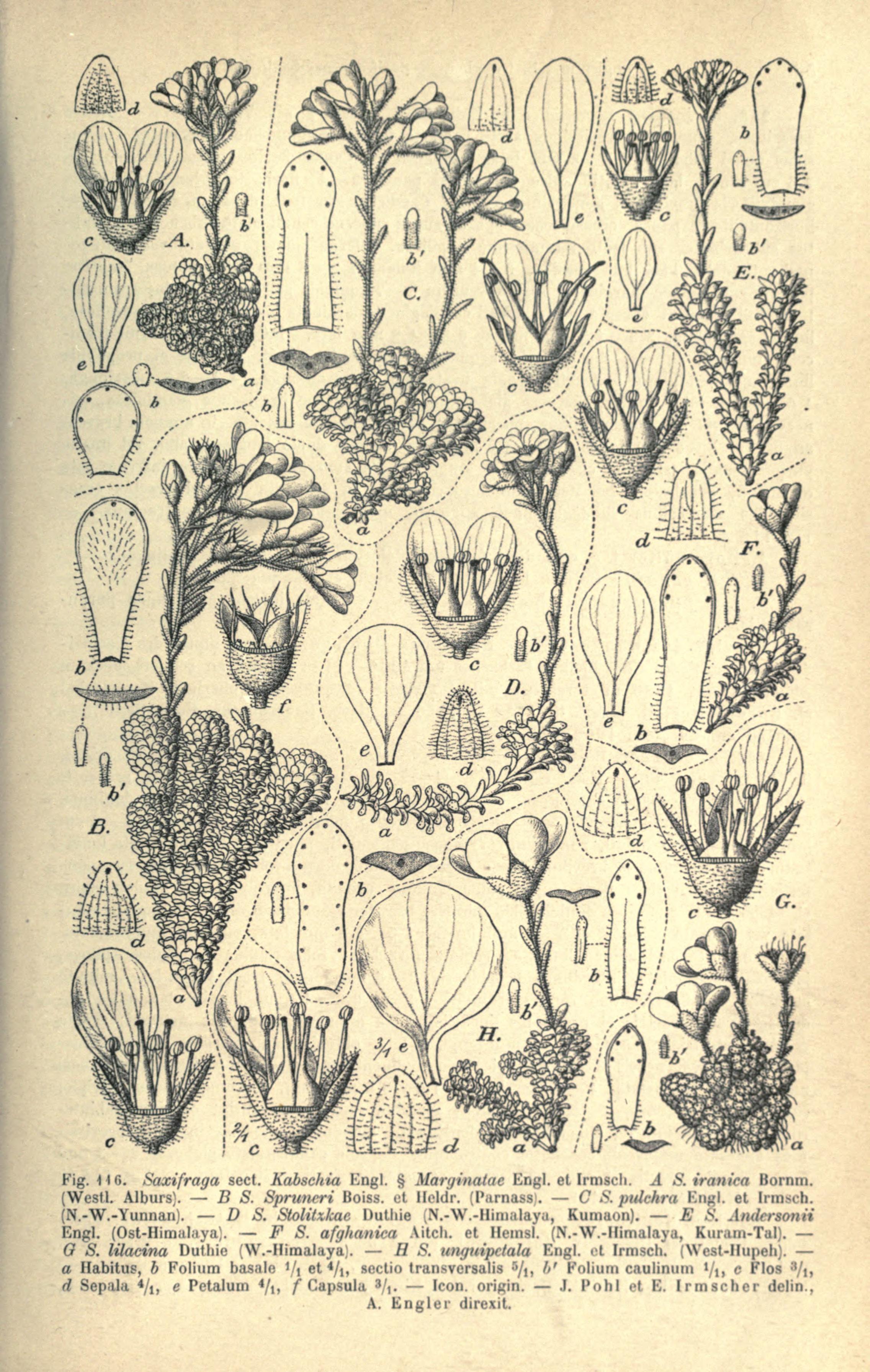 no full size  illustration available (3a)