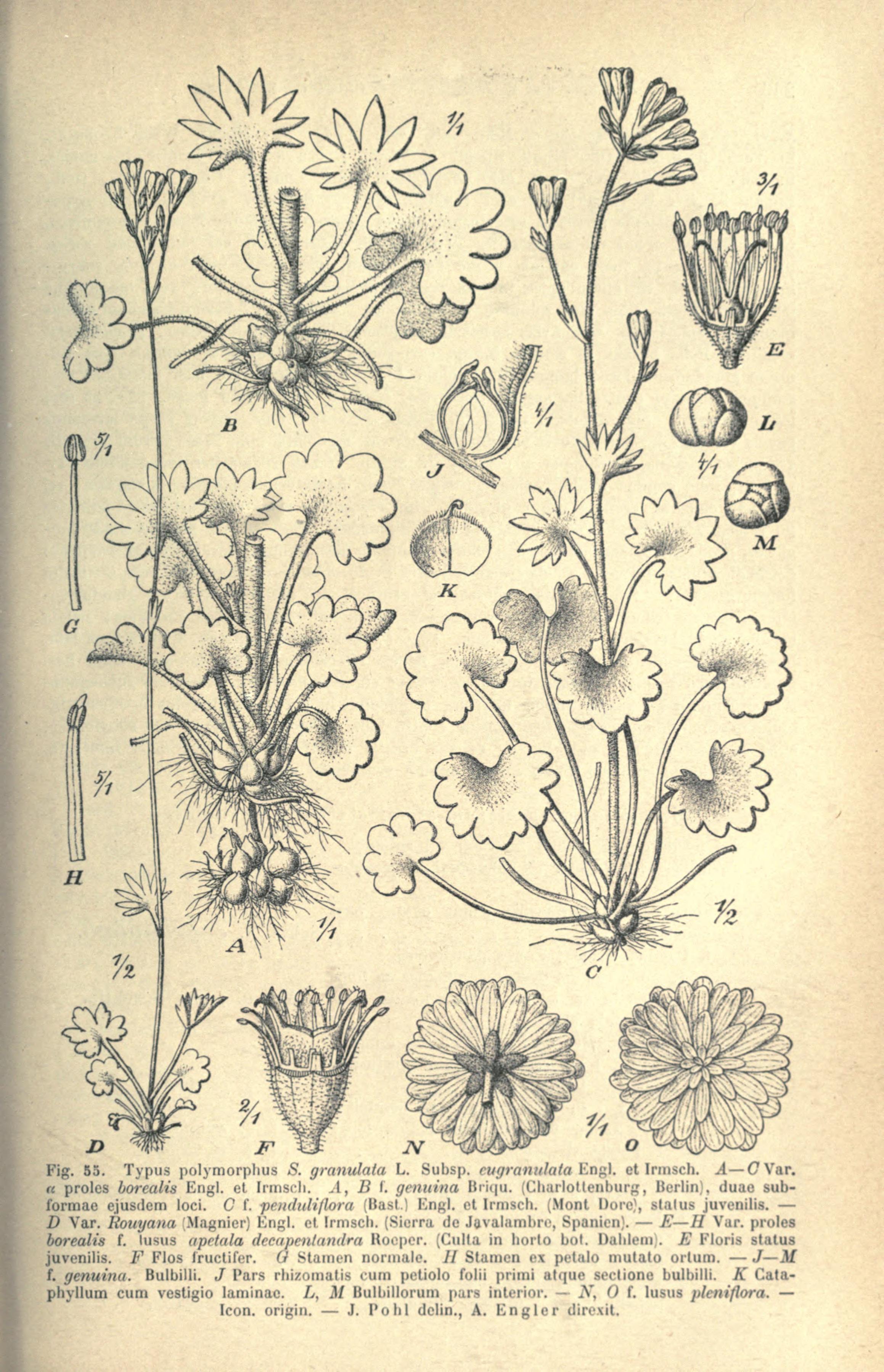 no full size  illustration available (3a)