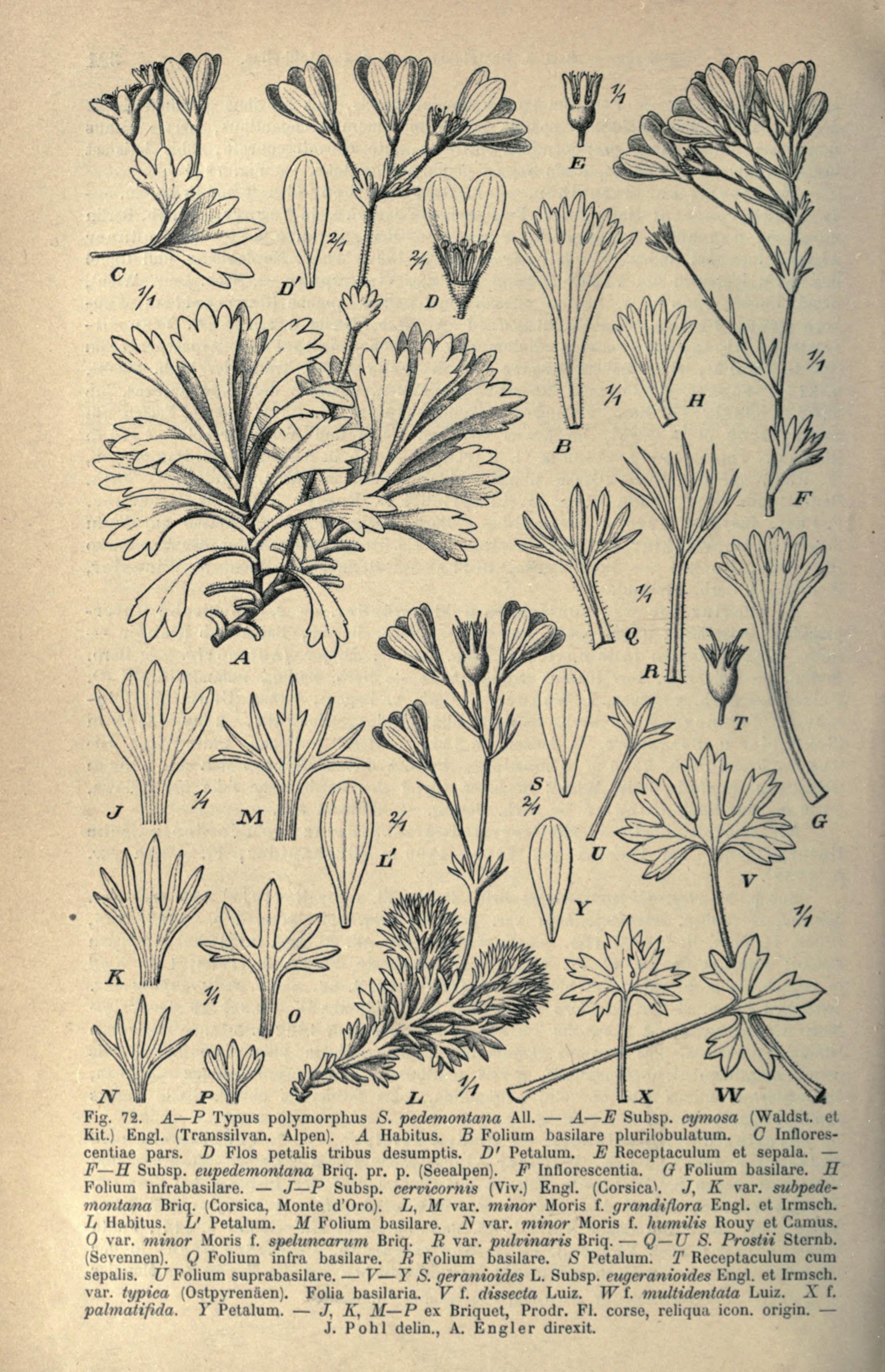 no full size  illustration available (3a)