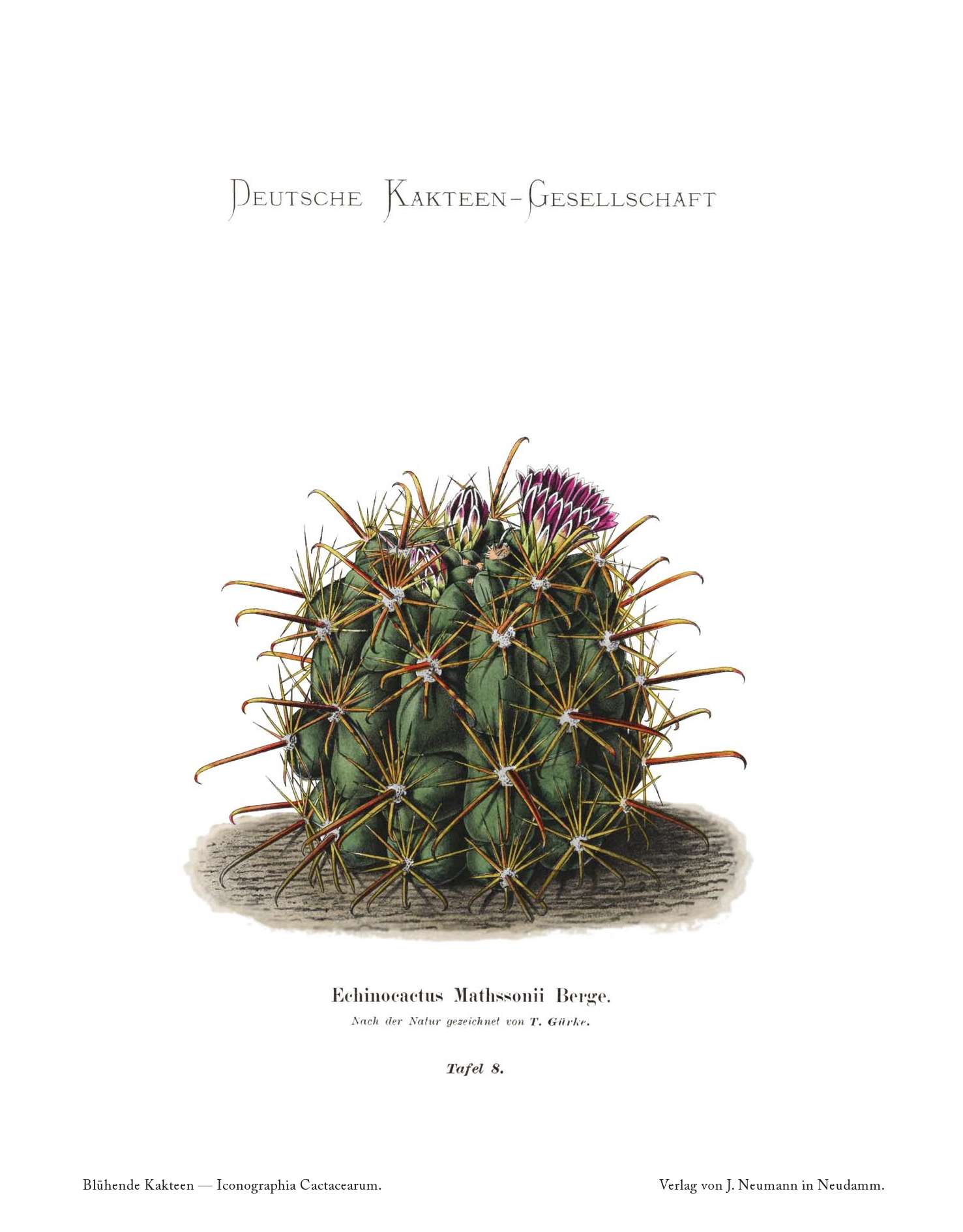 no full size  illustration available (3a)