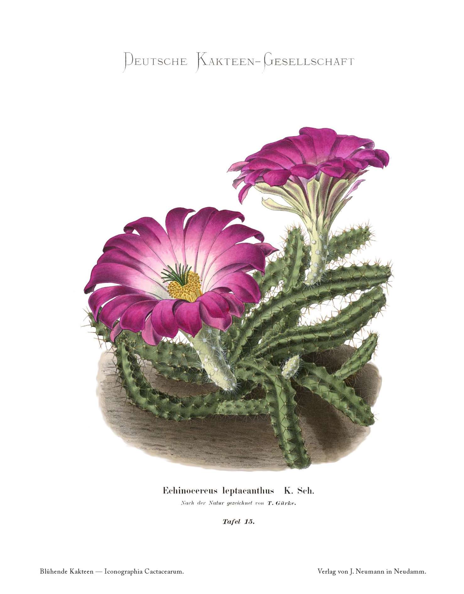 no full size  illustration available (3a)