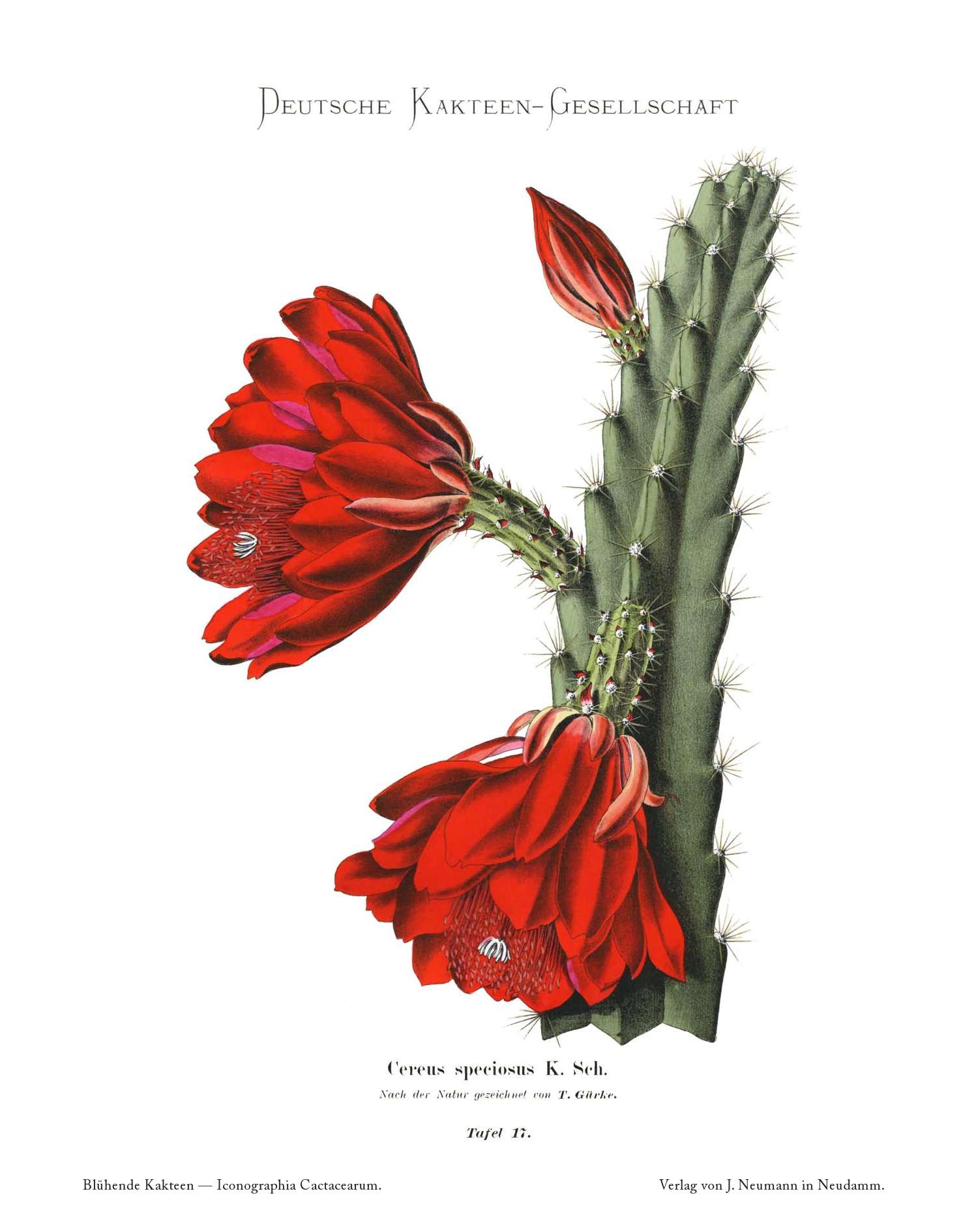 no full size  illustration available (3a)