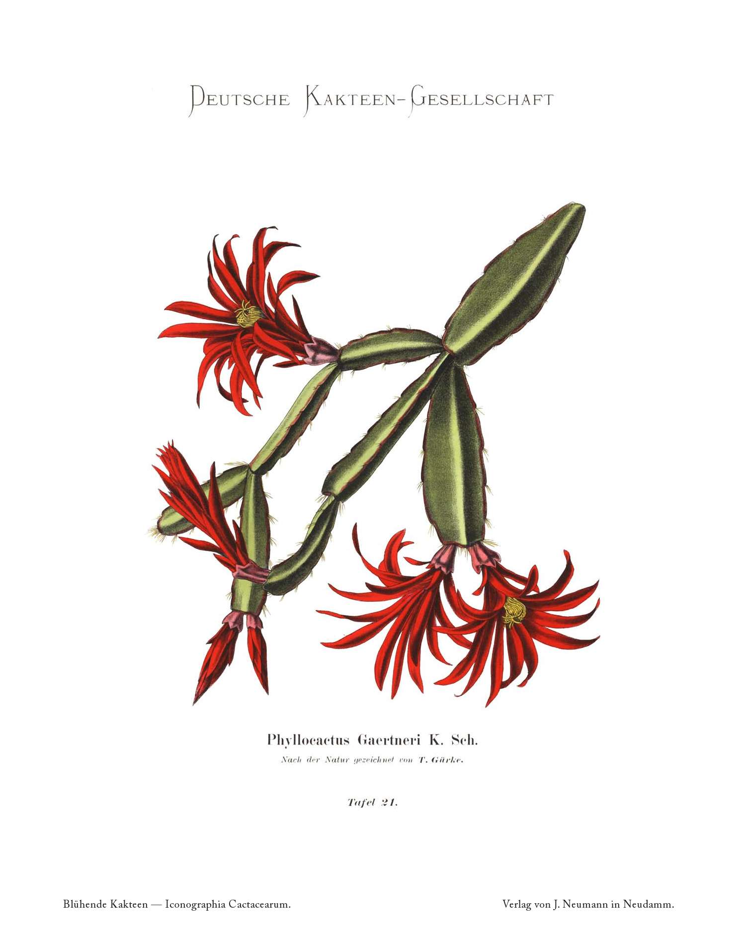 no full size  illustration available (3a)