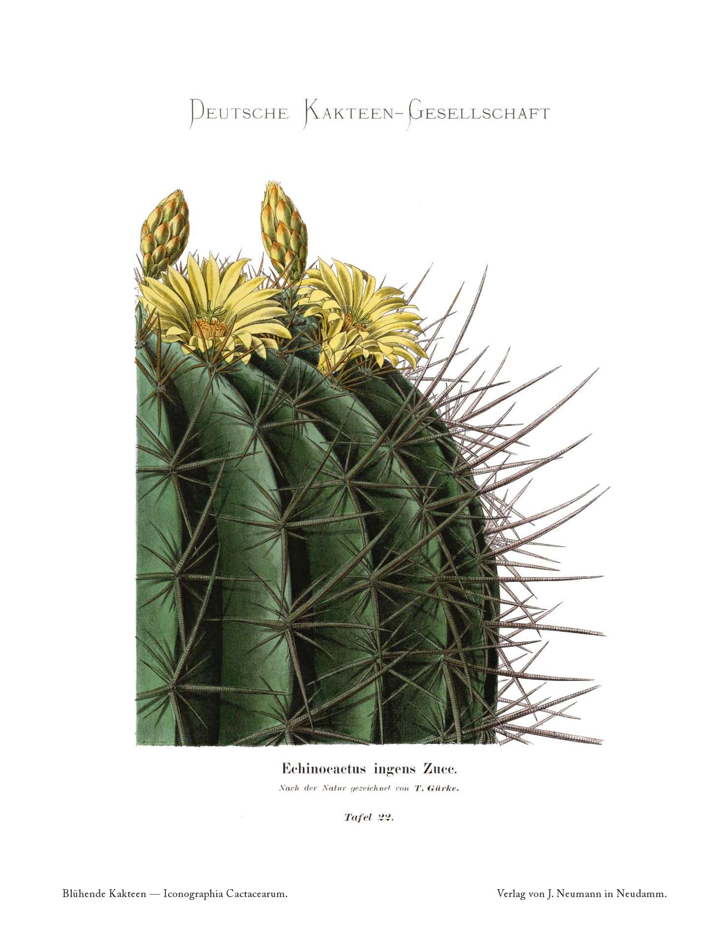 no full size  illustration available (3a)