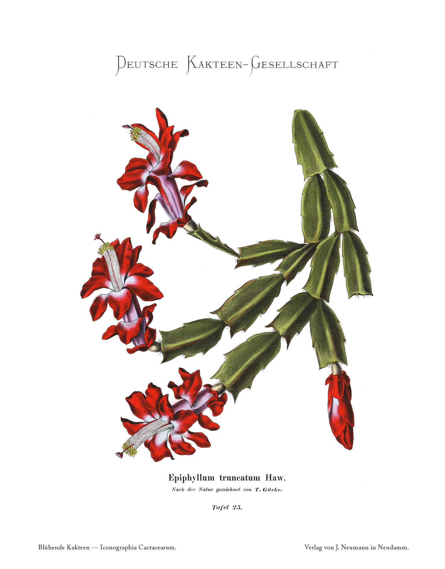 no full size  illustration available (3a)