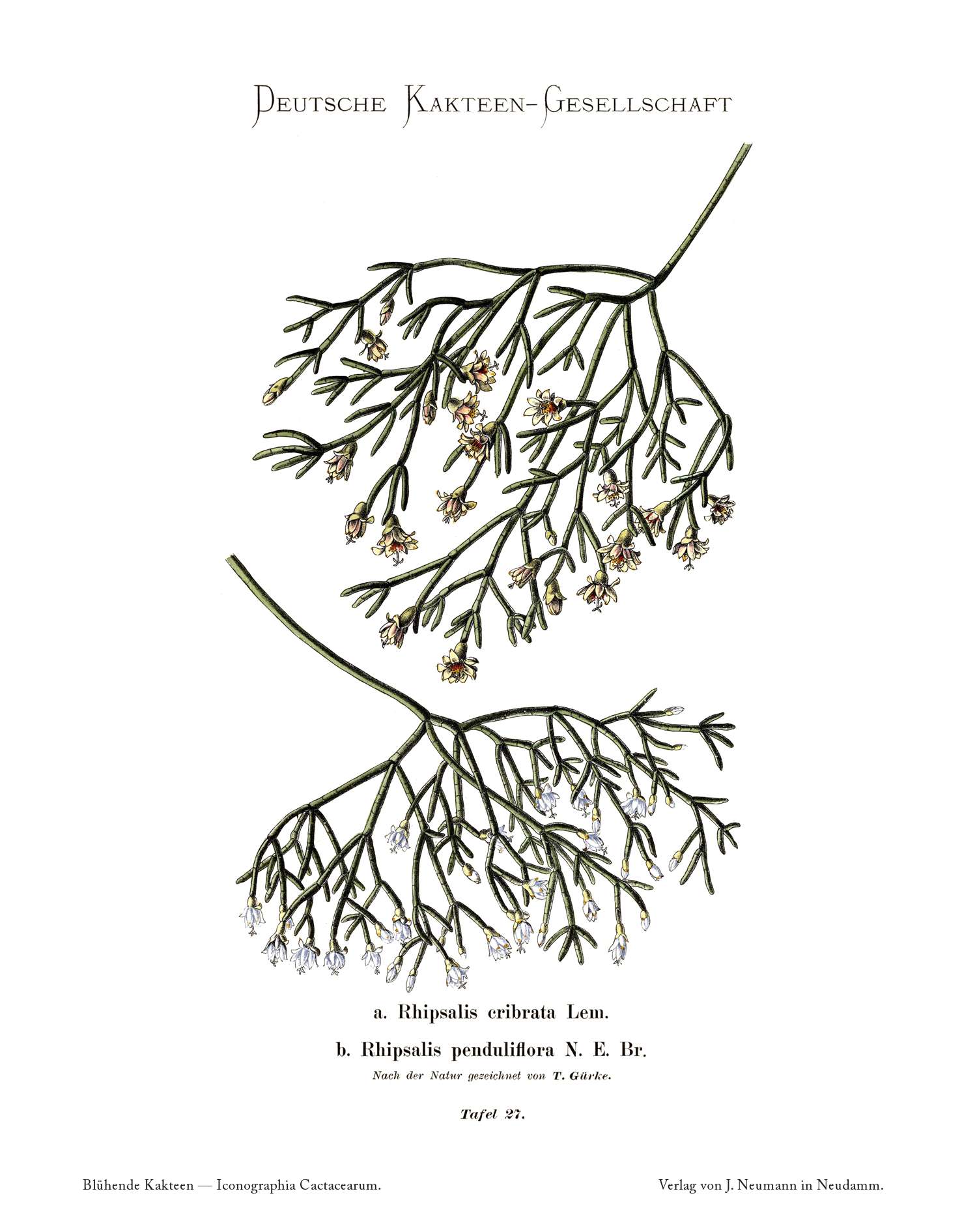 no full size  illustration available (3a)