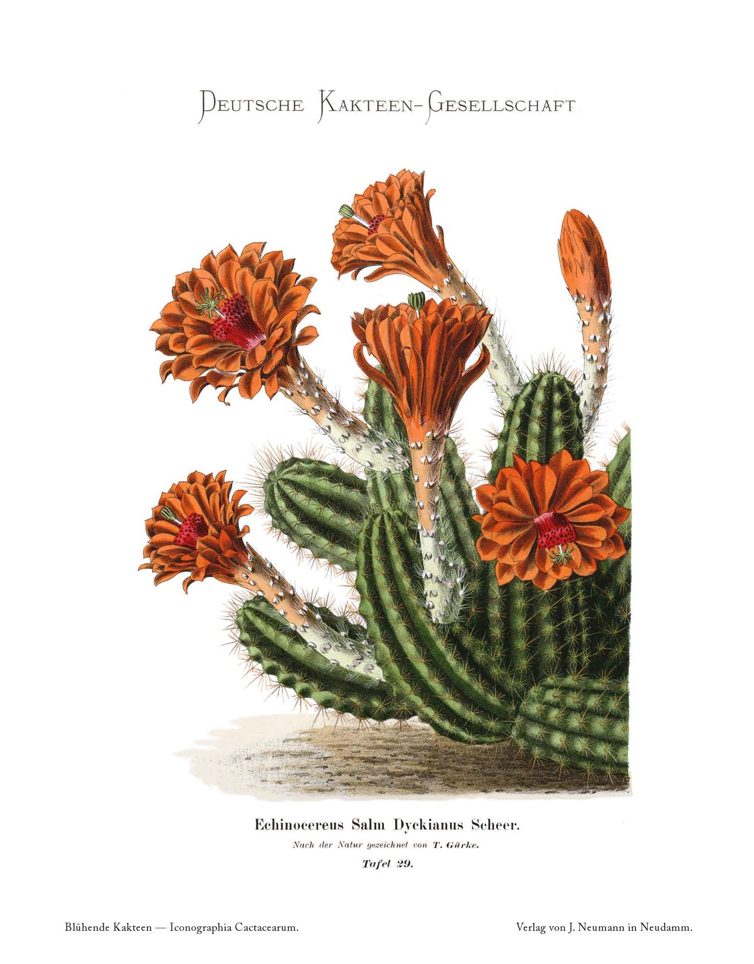 no full size  illustration available (3a)