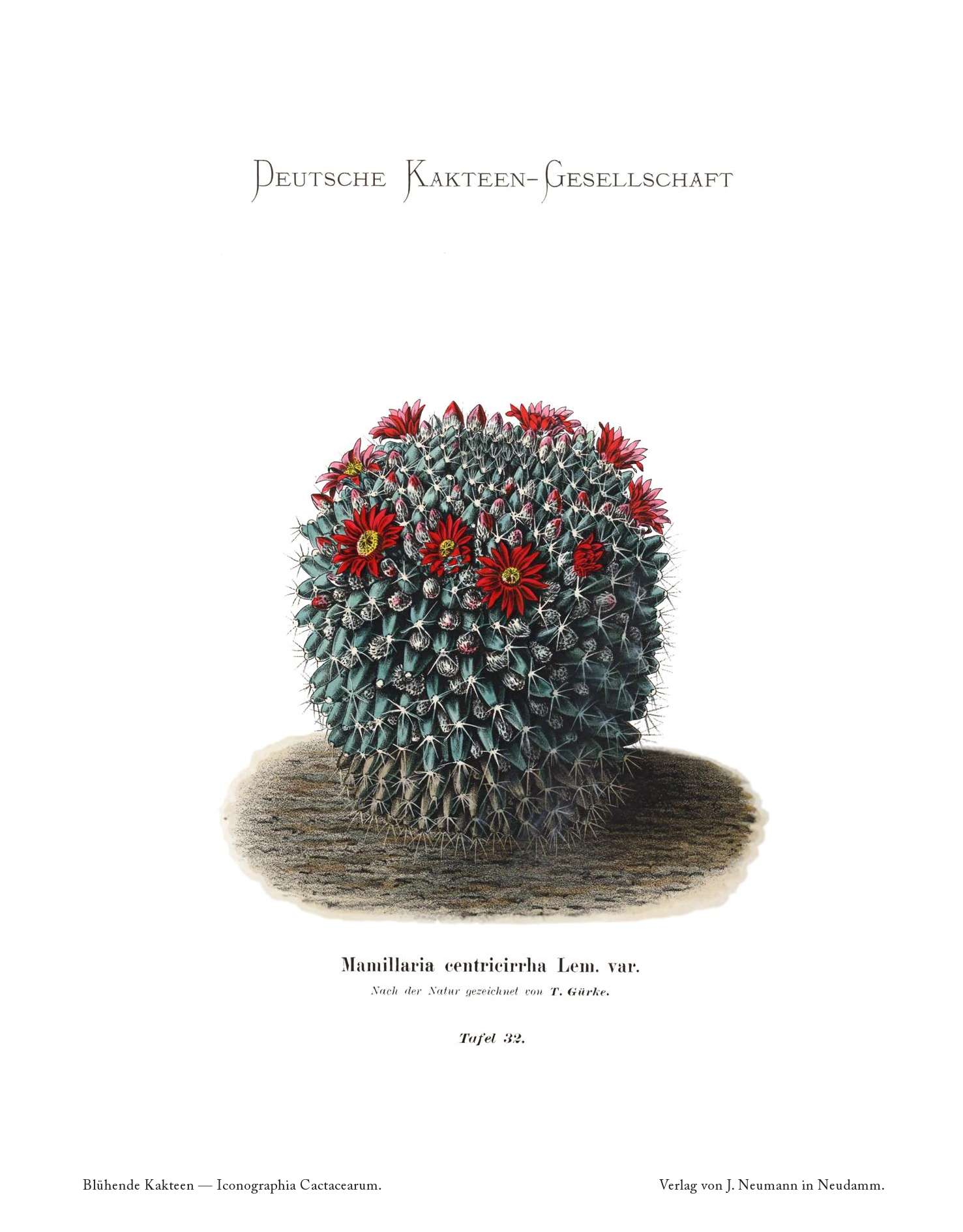 no full size  illustration available (3a)