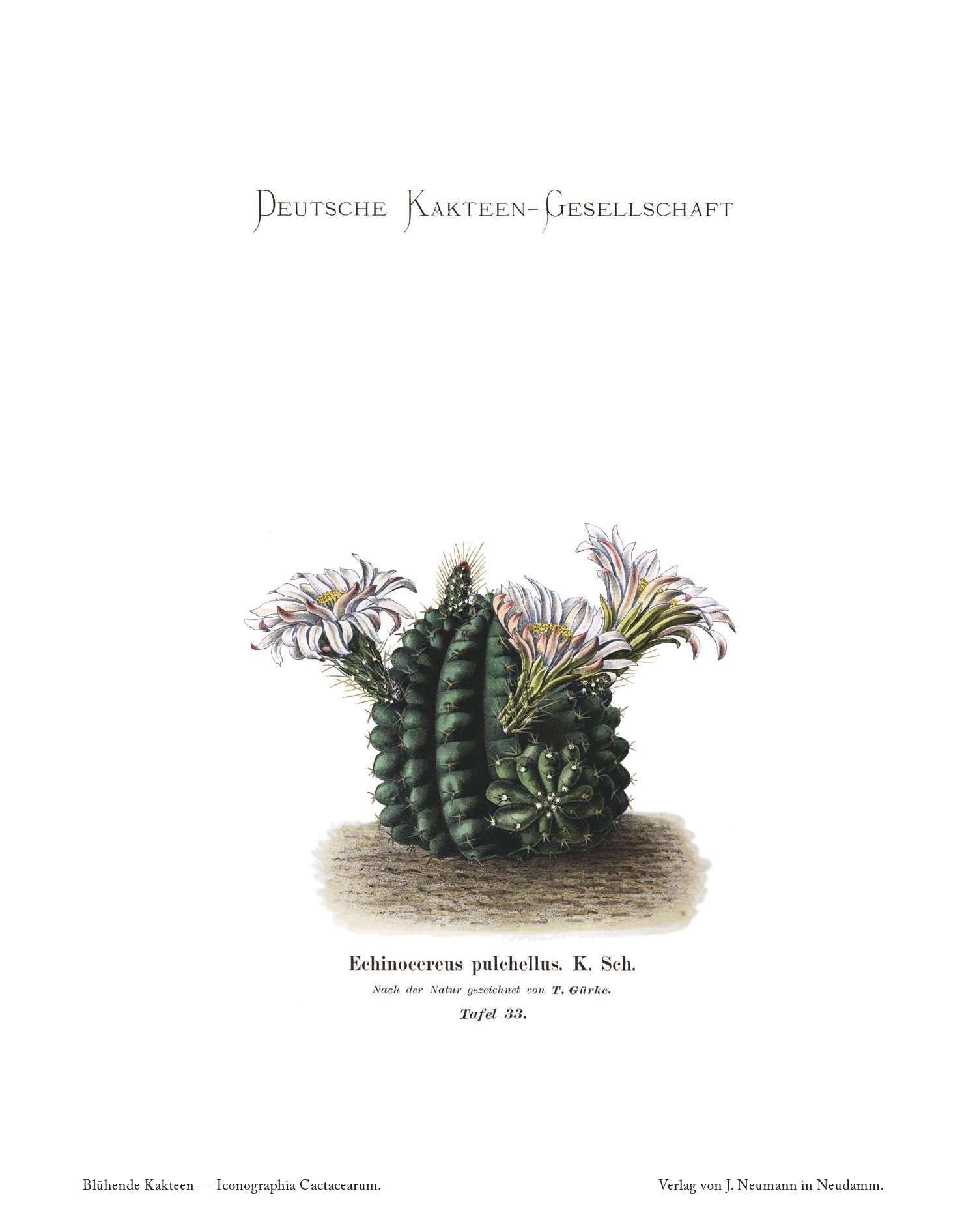 no full size  illustration available (3a)