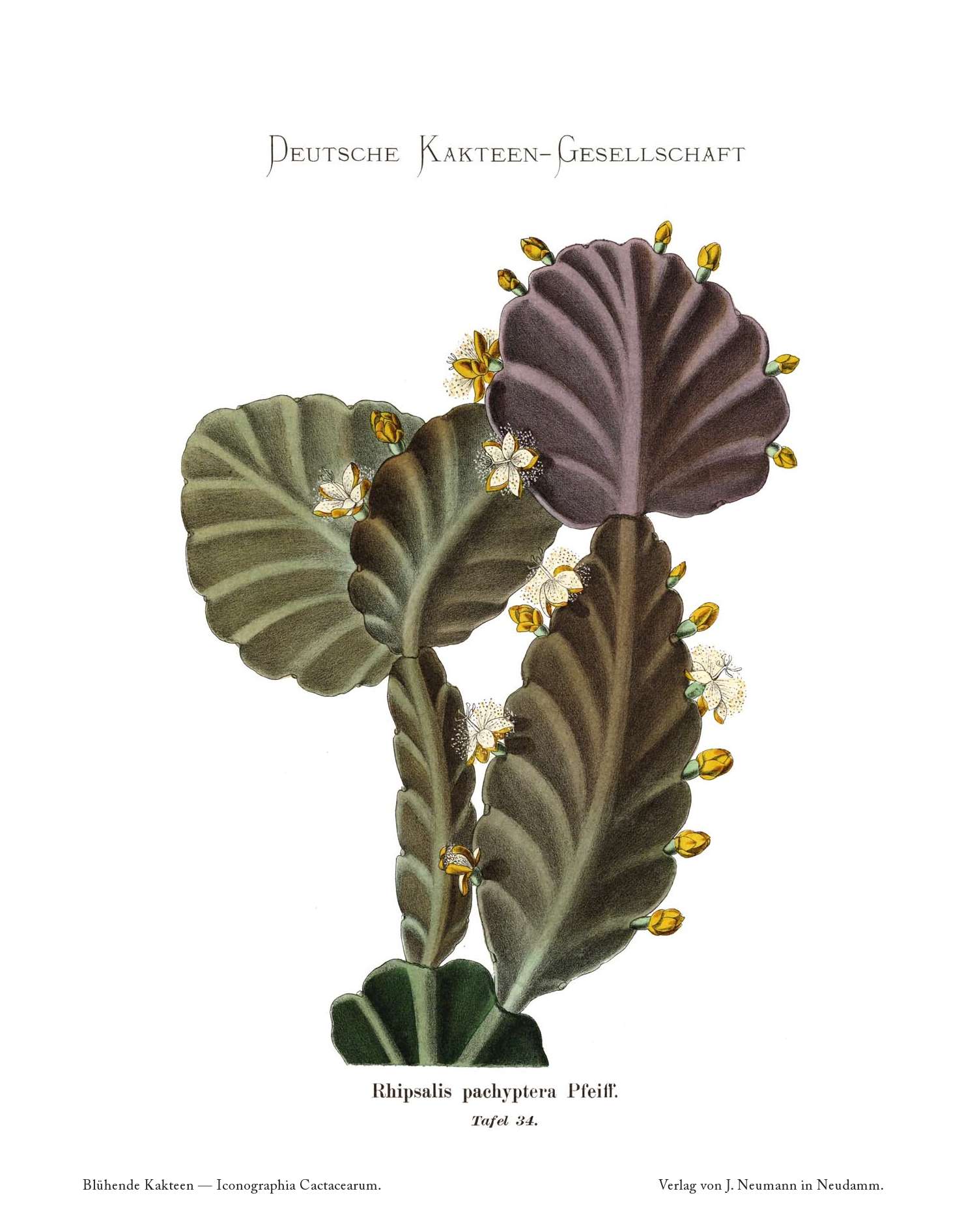 no full size  illustration available (3a)