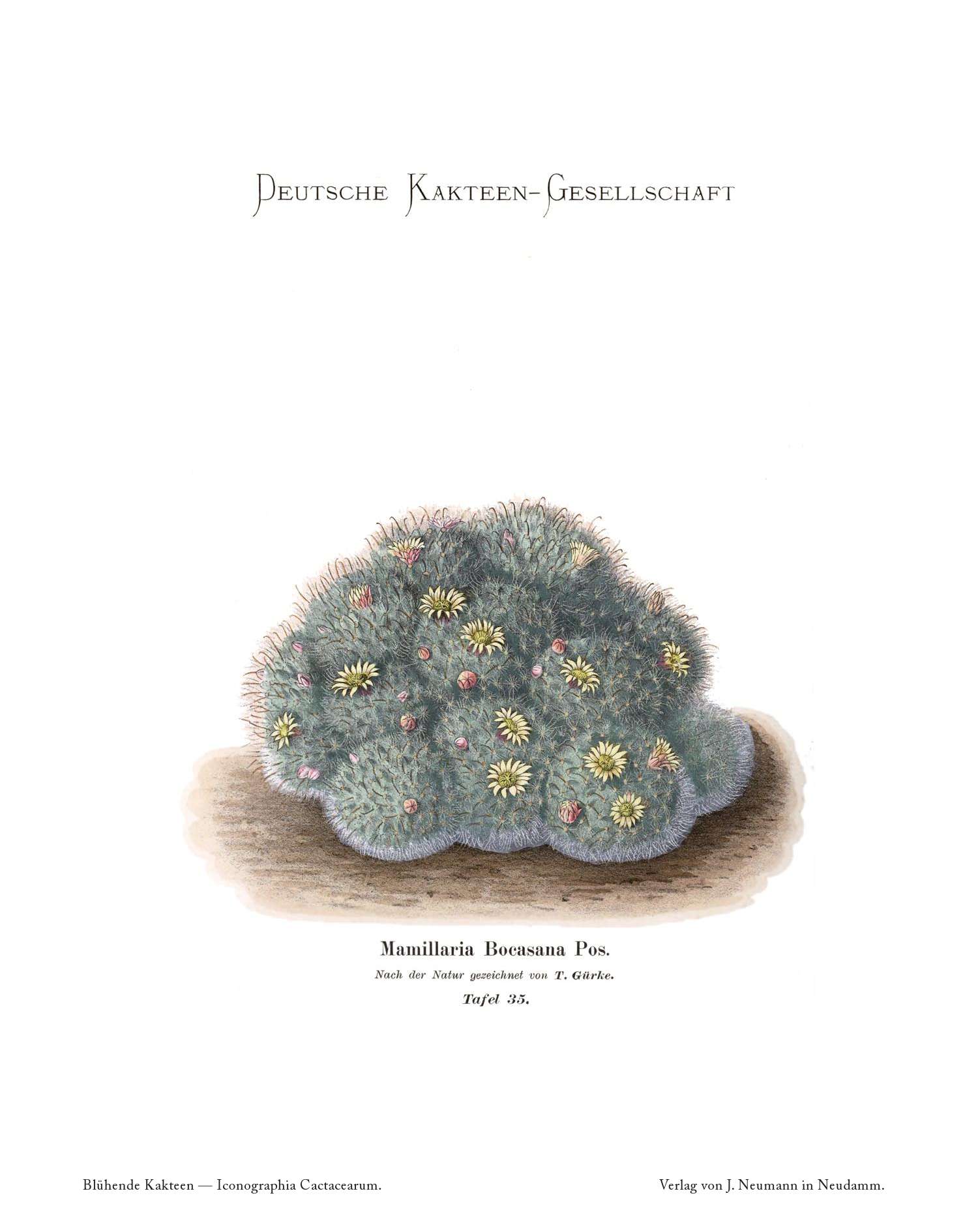 no full size  illustration available (3a)