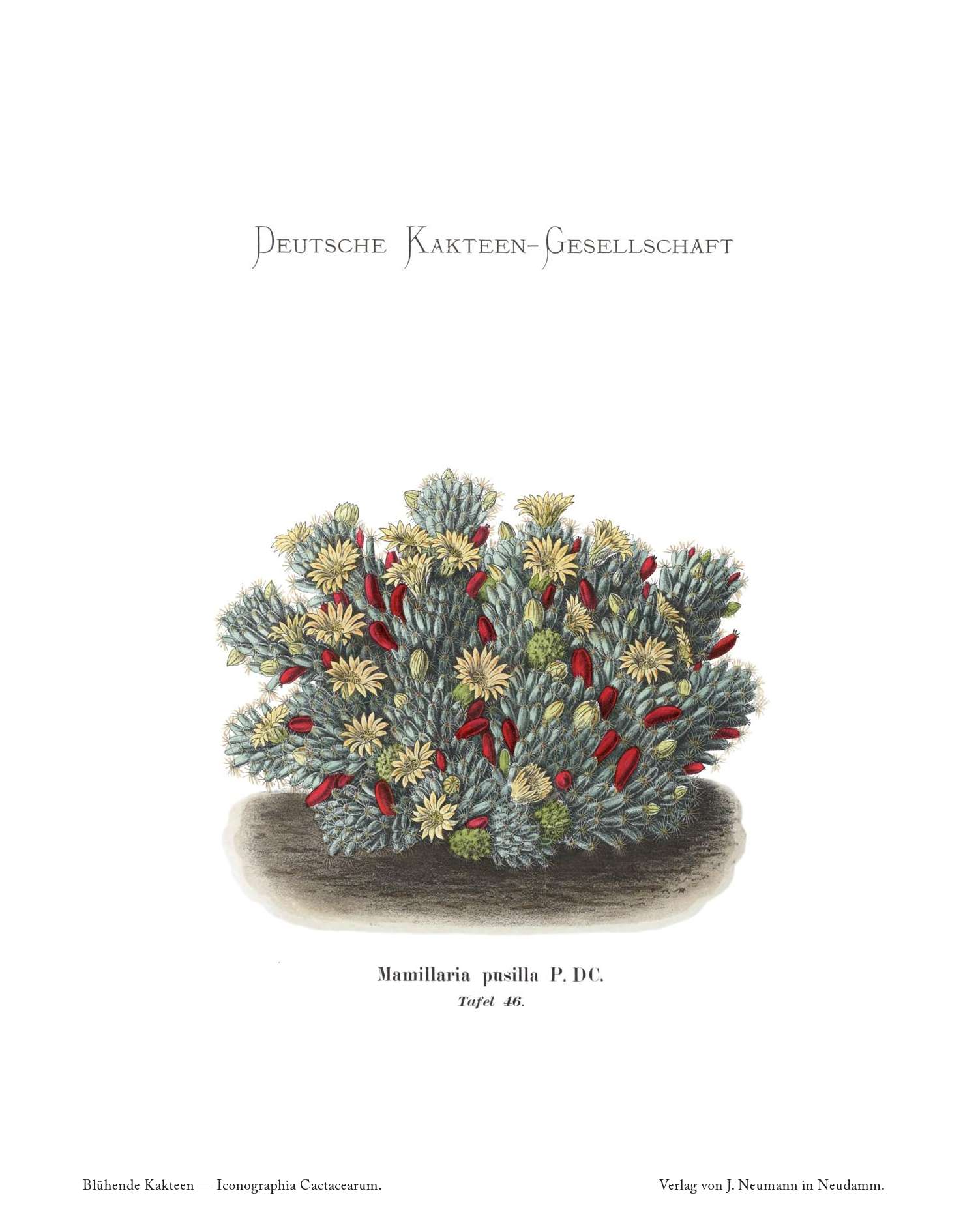 no full size  illustration available (3a)