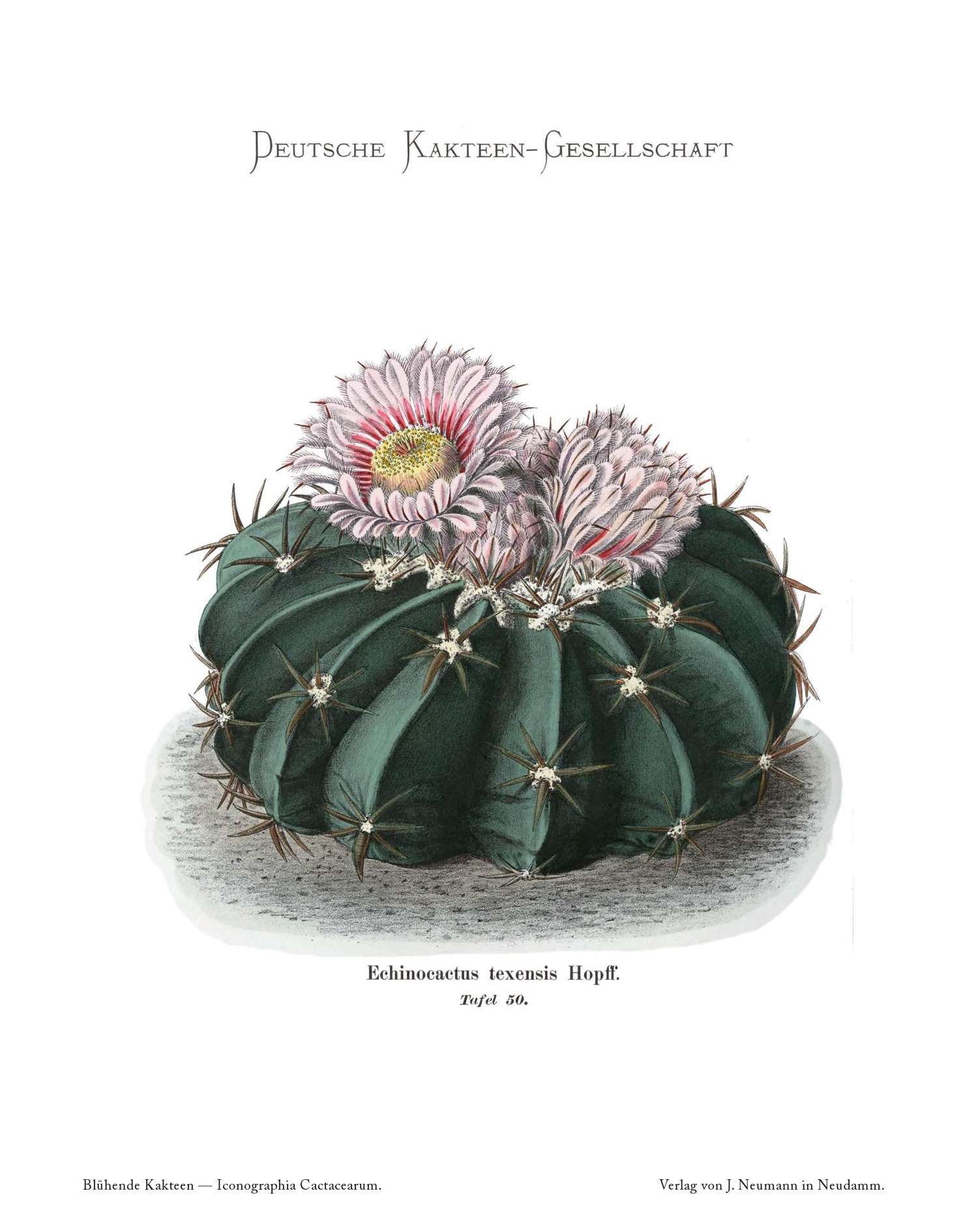 no full size  illustration available (3a)