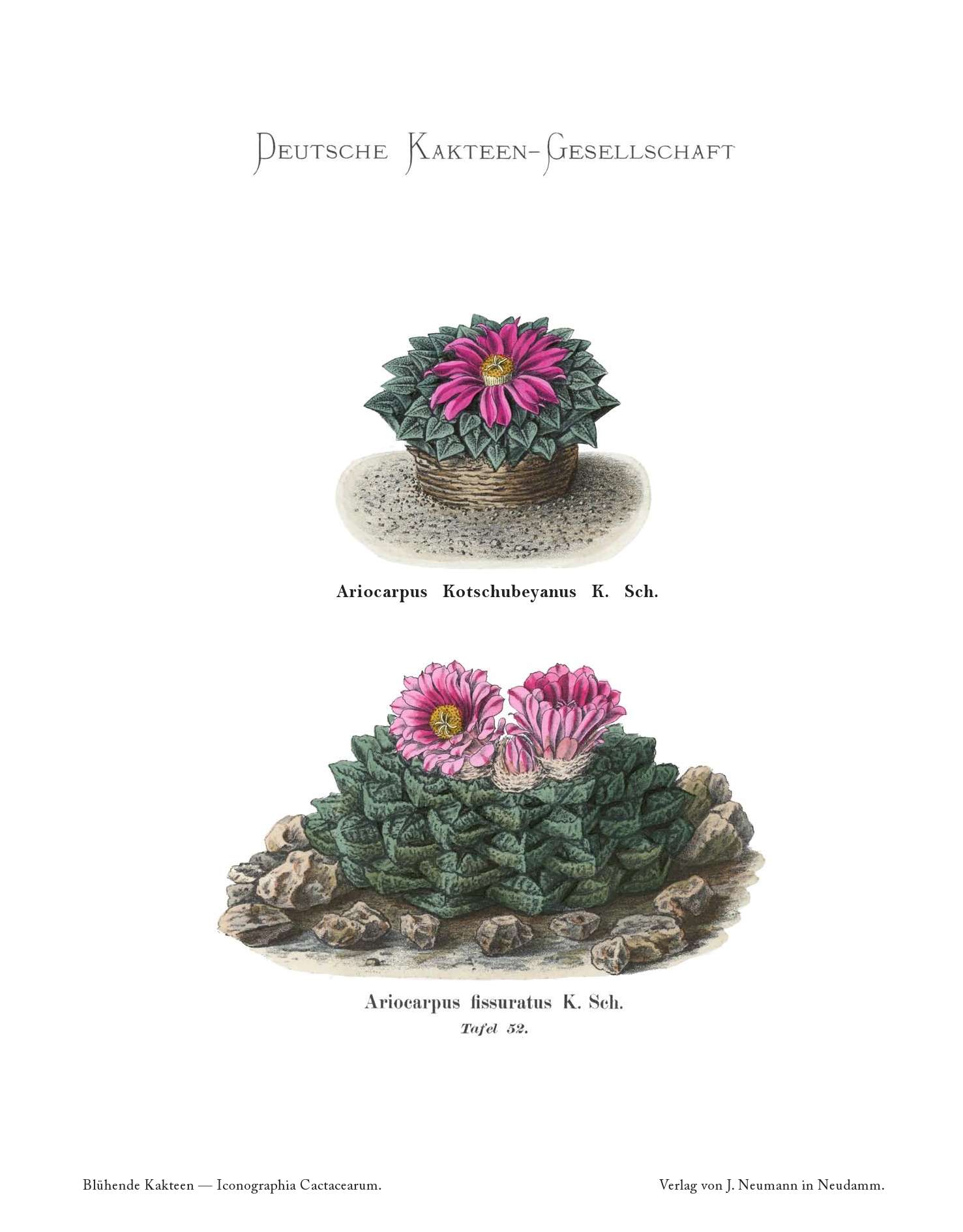 no full size  illustration available (3a)