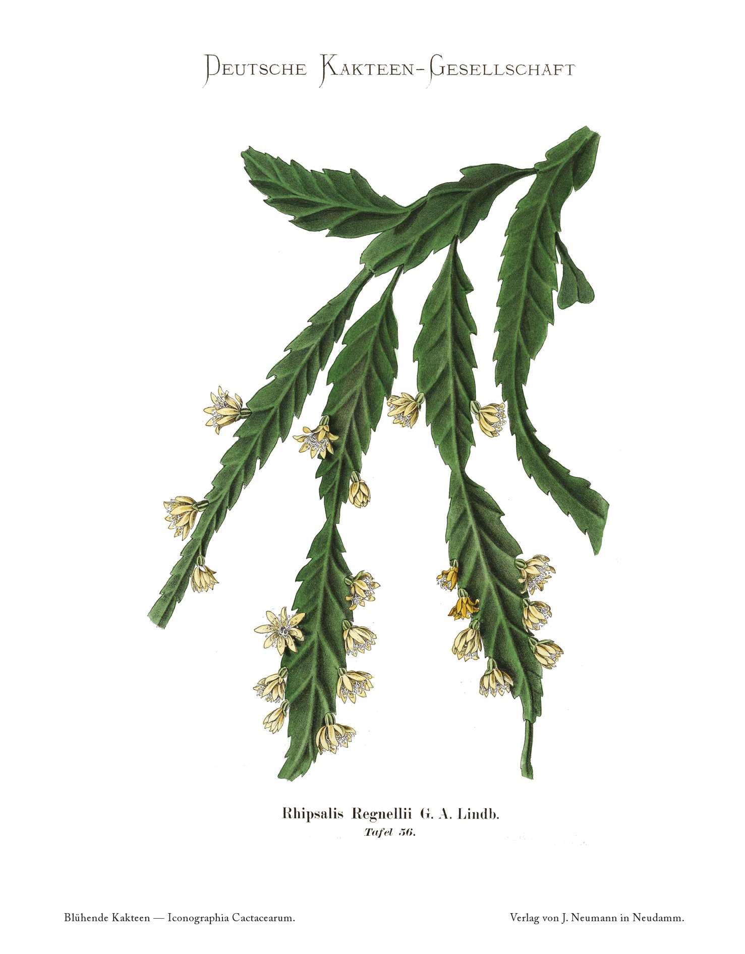 no full size  illustration available (3a)