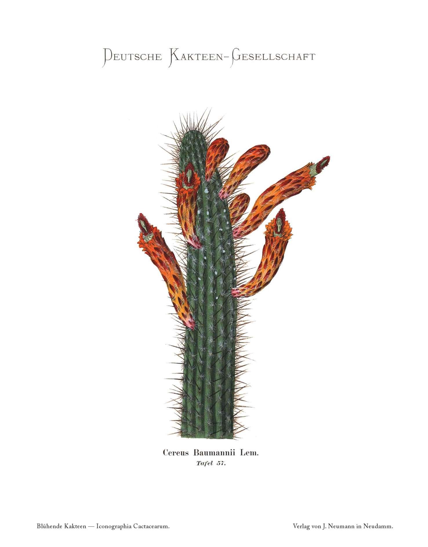 no full size  illustration available (3a)