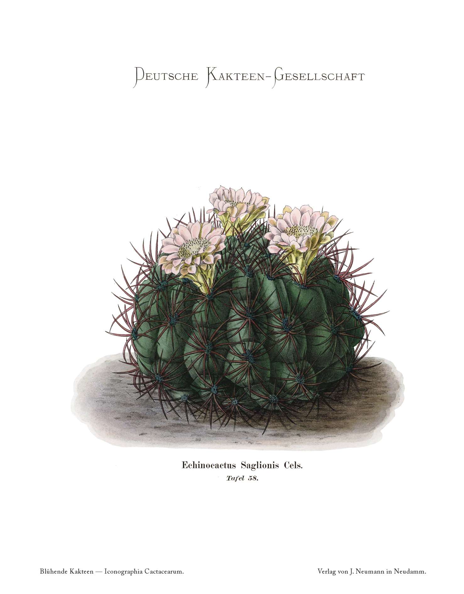 no full size  illustration available (3a)