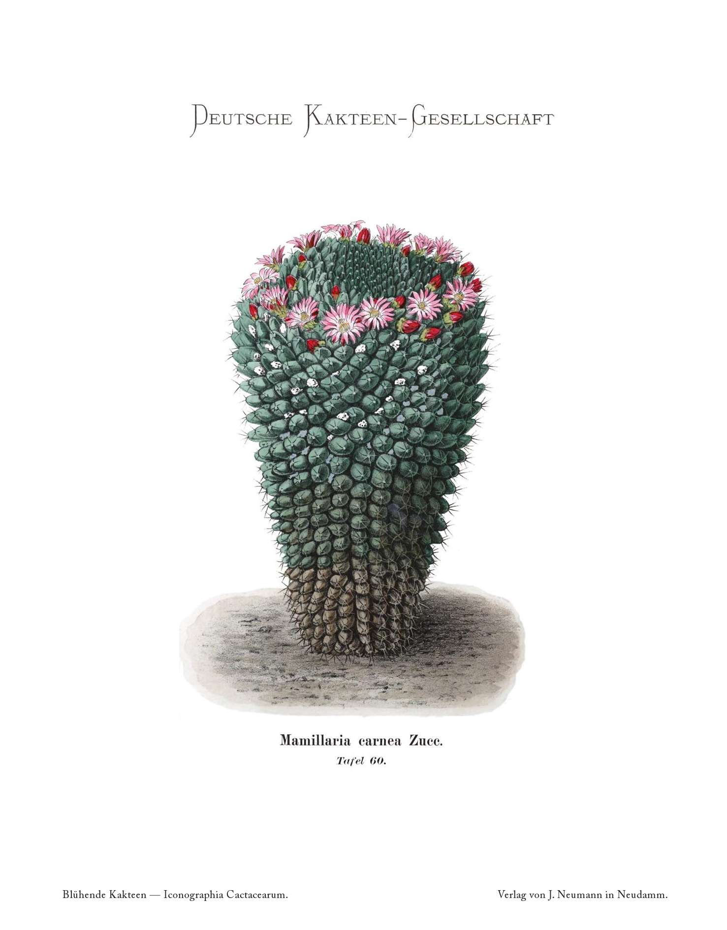 no full size  illustration available (3a)