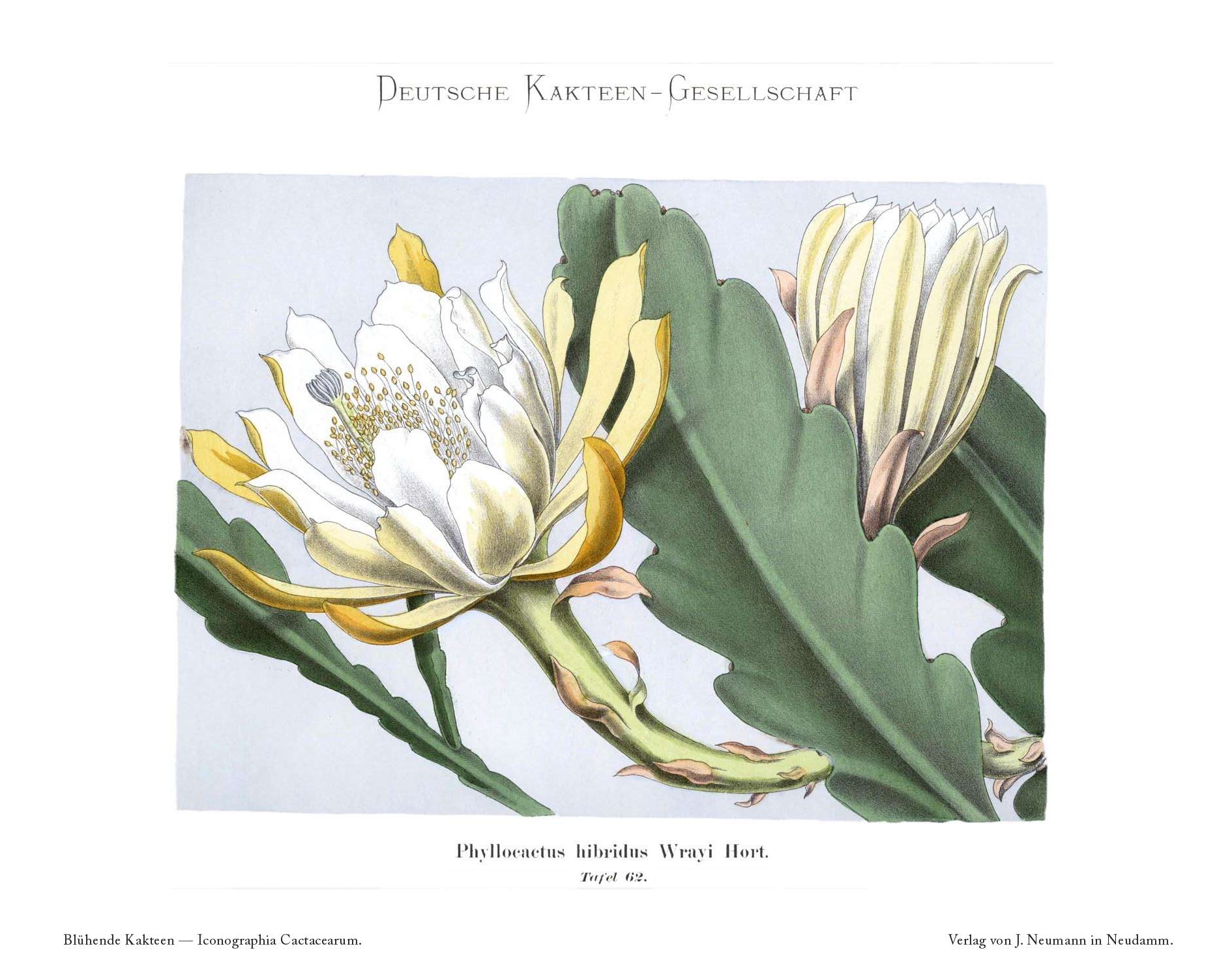 no full size  illustration available (3a)