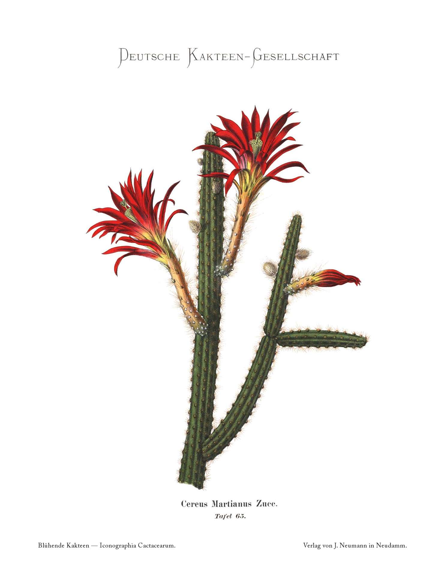 no full size  illustration available (3a)