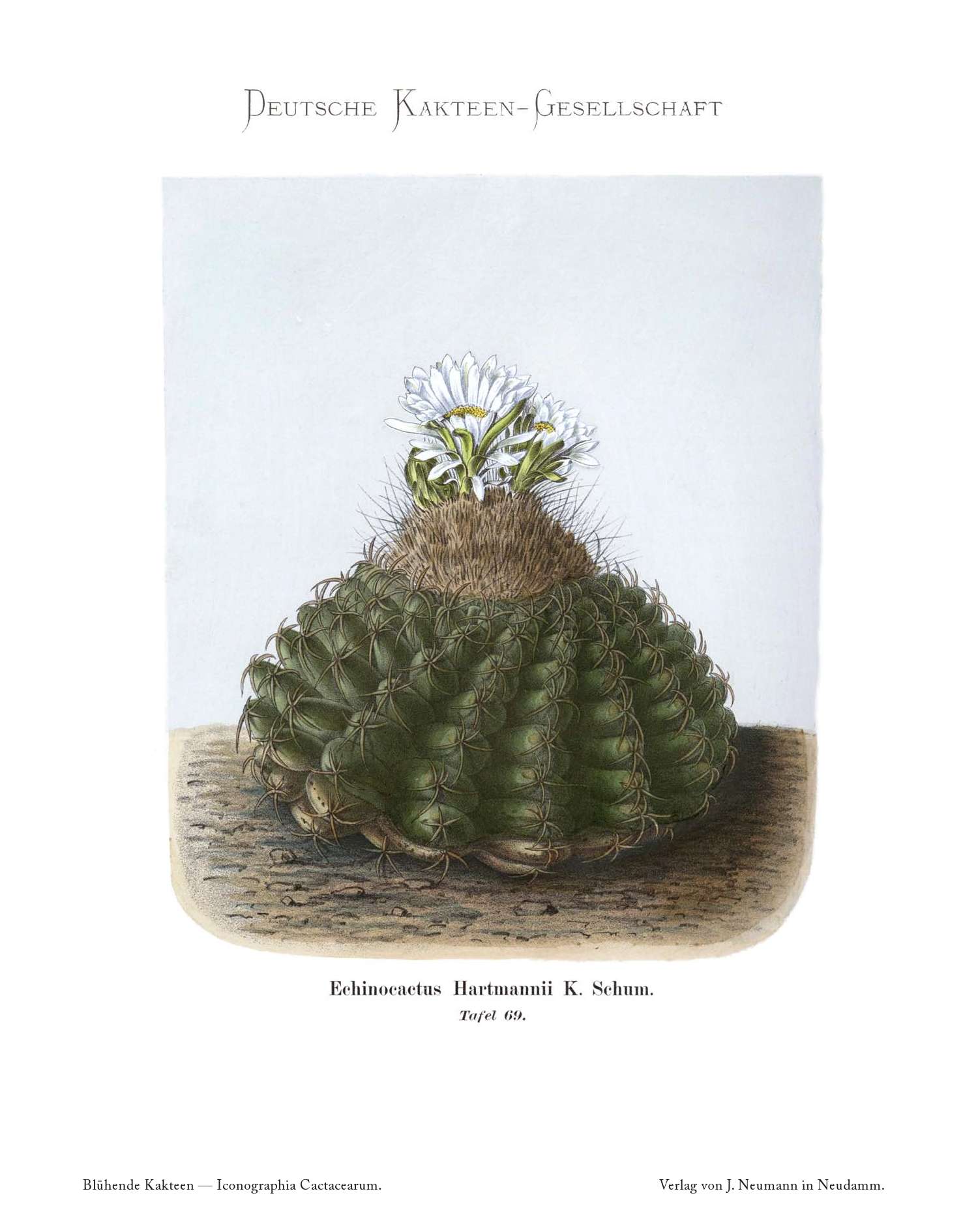 no full size  illustration available (3a)