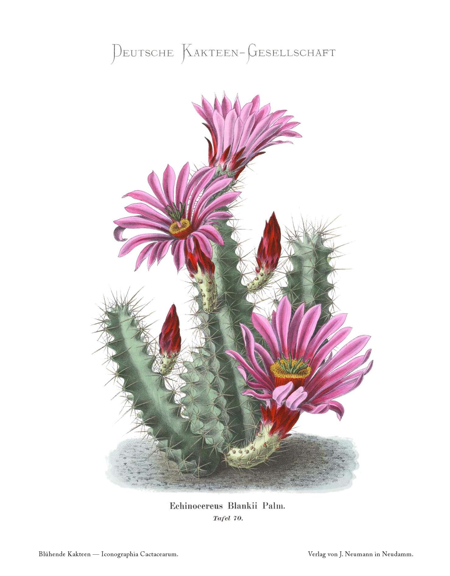 no full size  illustration available (3a)