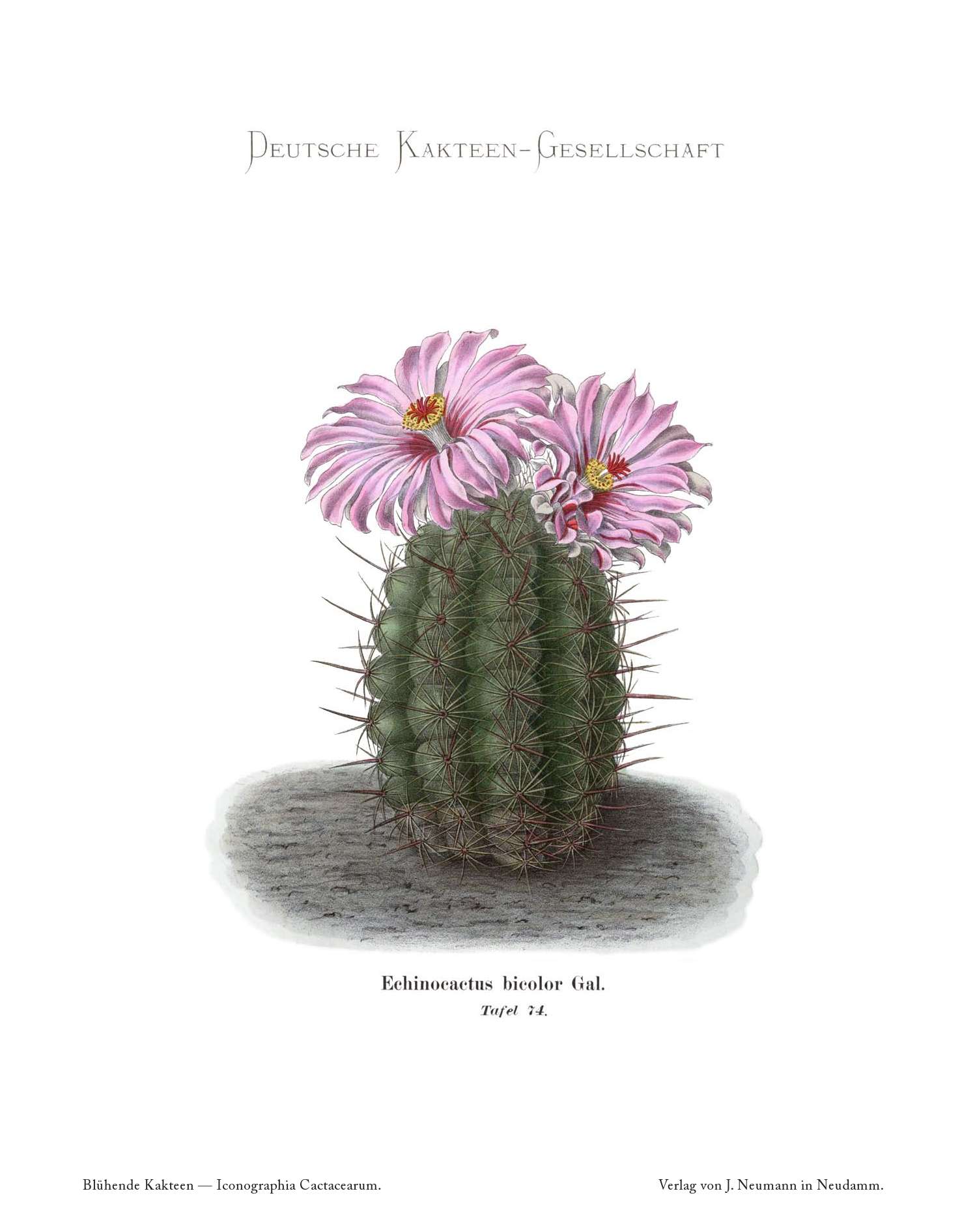 no full size  illustration available (3a)