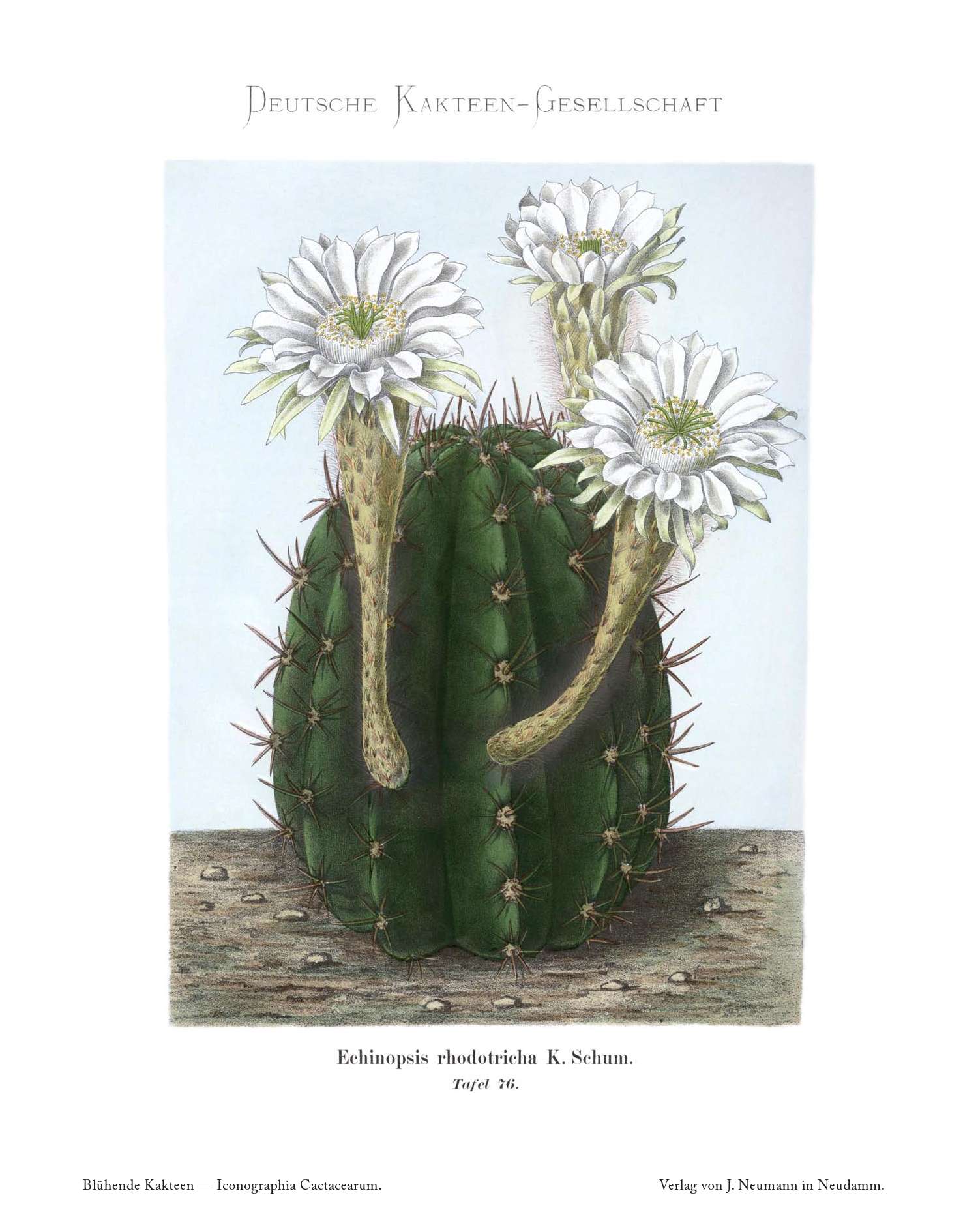 no full size  illustration available (3a)