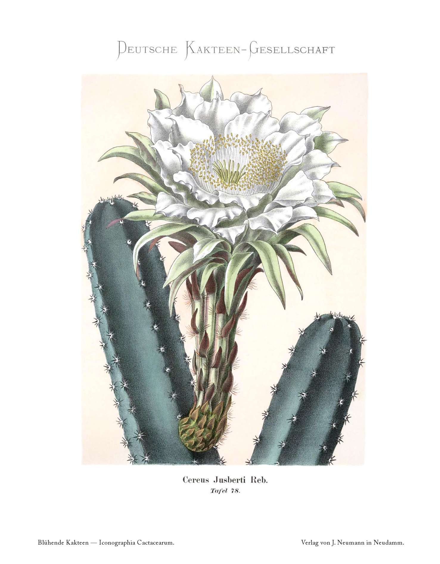 no full size  illustration available (3a)