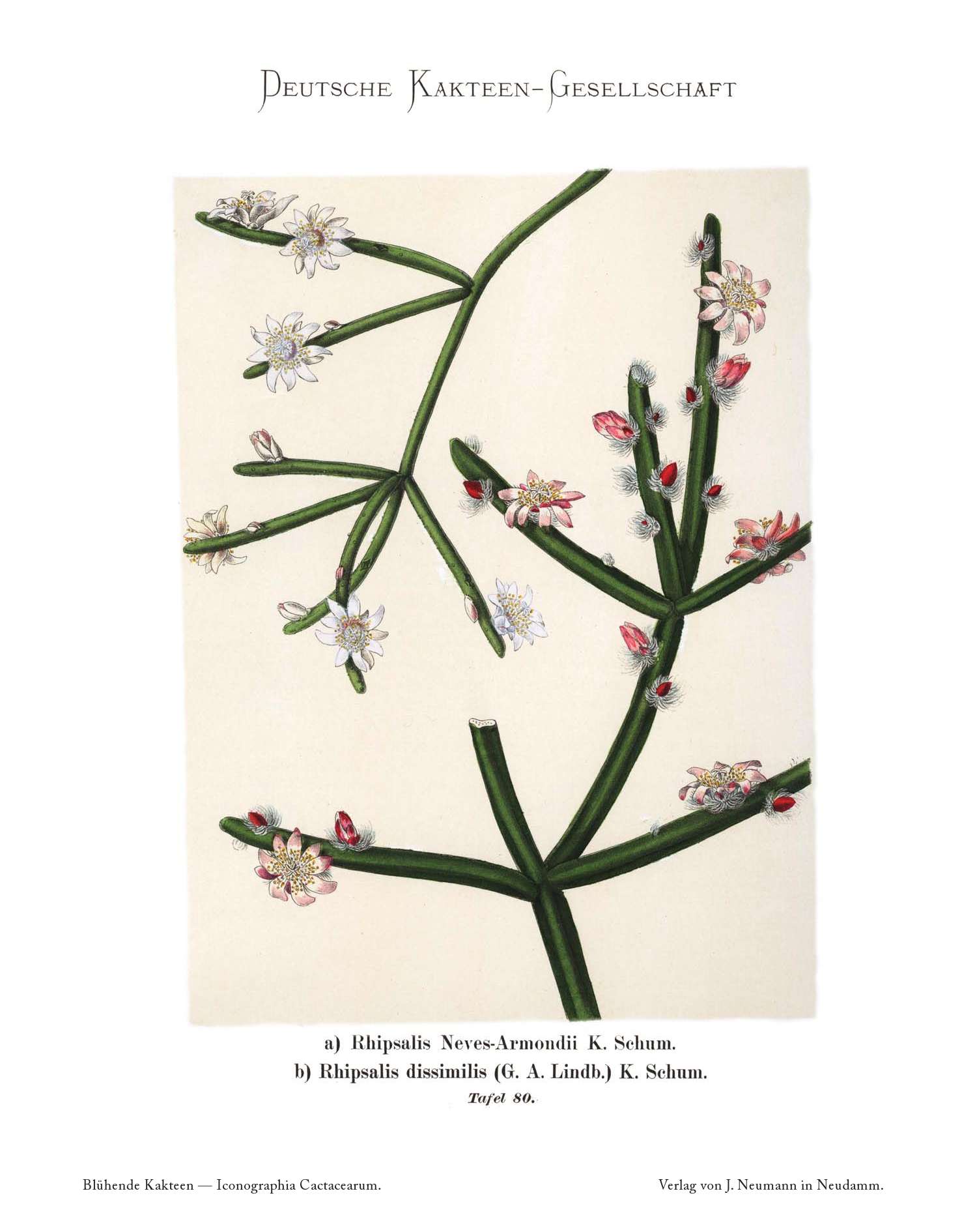 no full size  illustration available (3a)