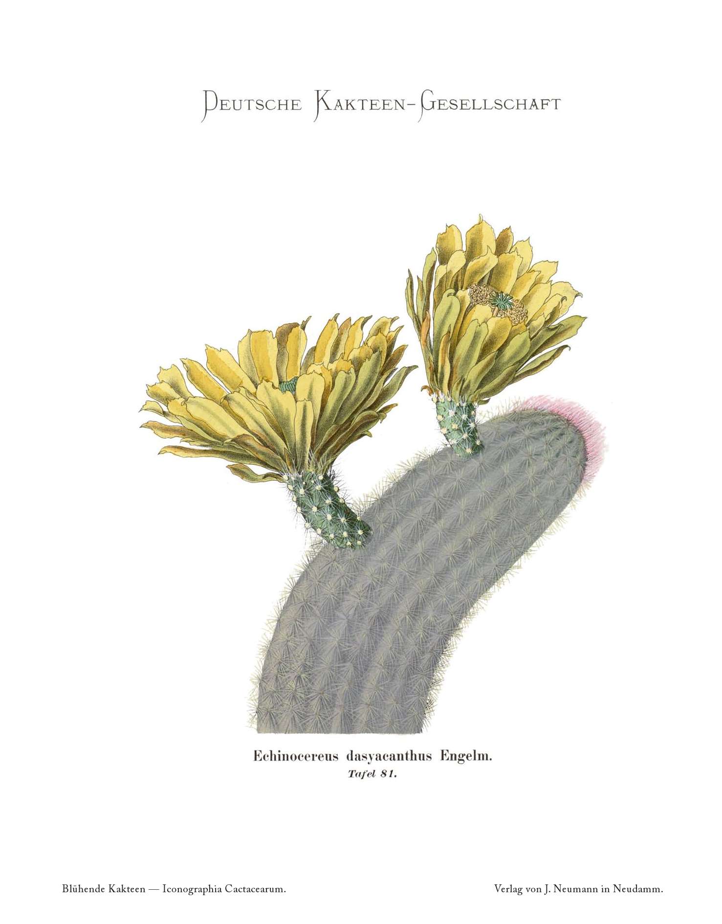 no full size  illustration available (3a)