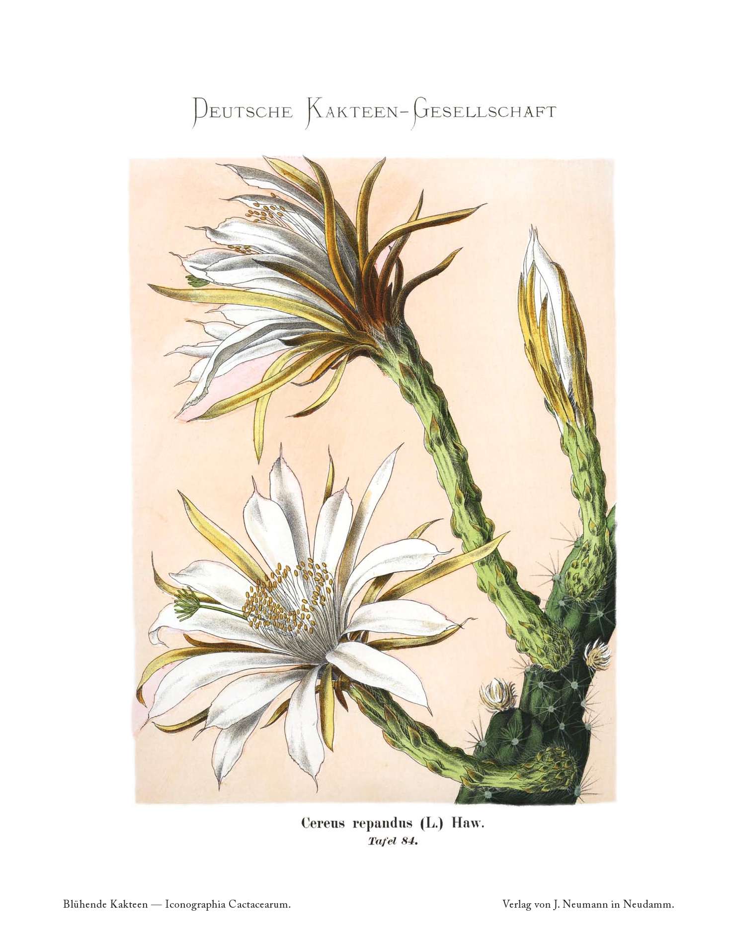 no full size  illustration available (3a)