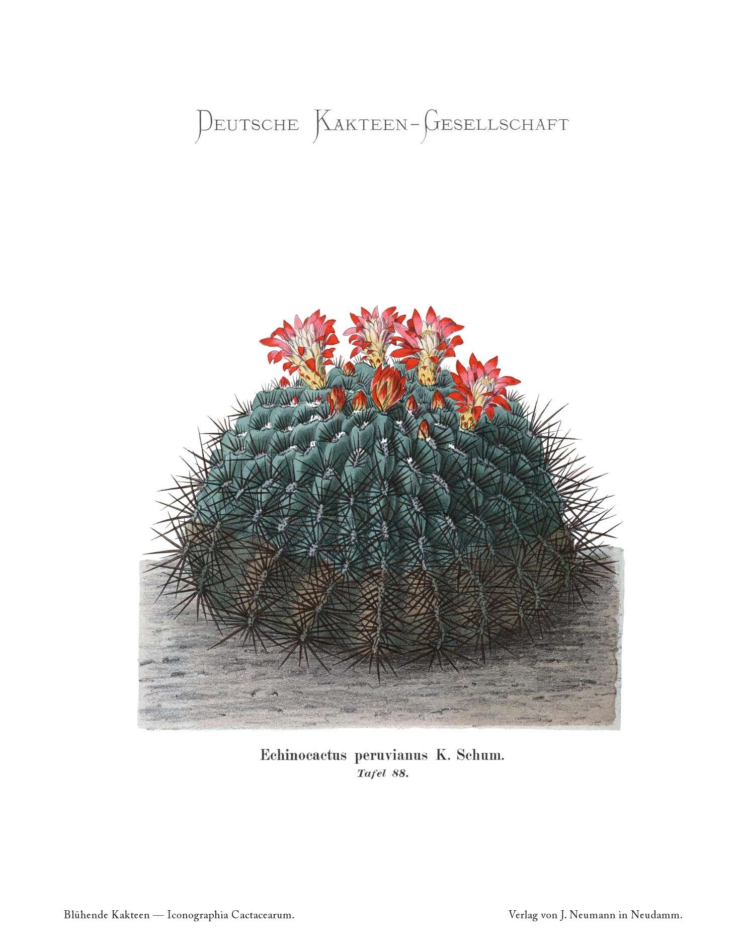 no full size  illustration available (3a)