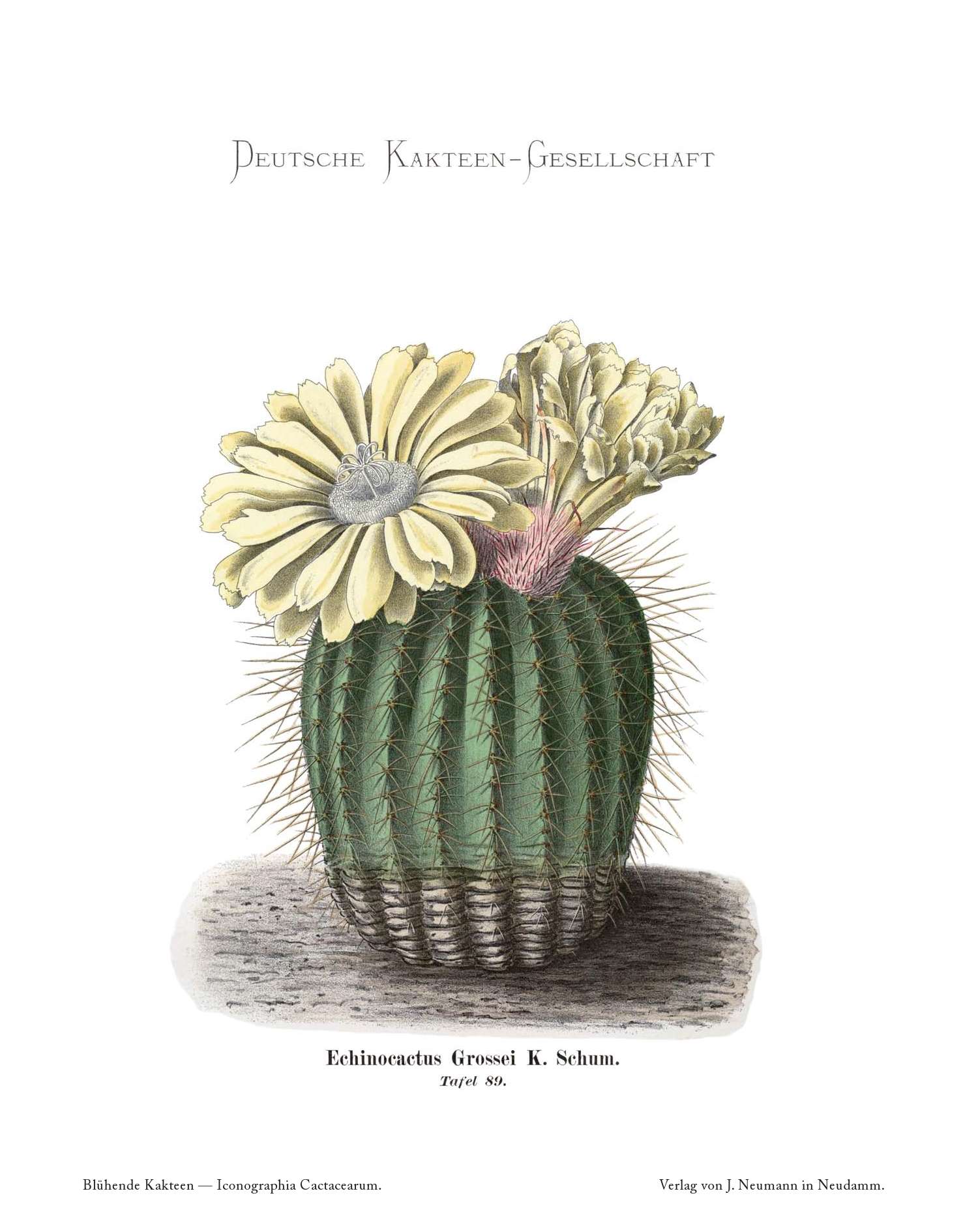 no full size  illustration available (3a)