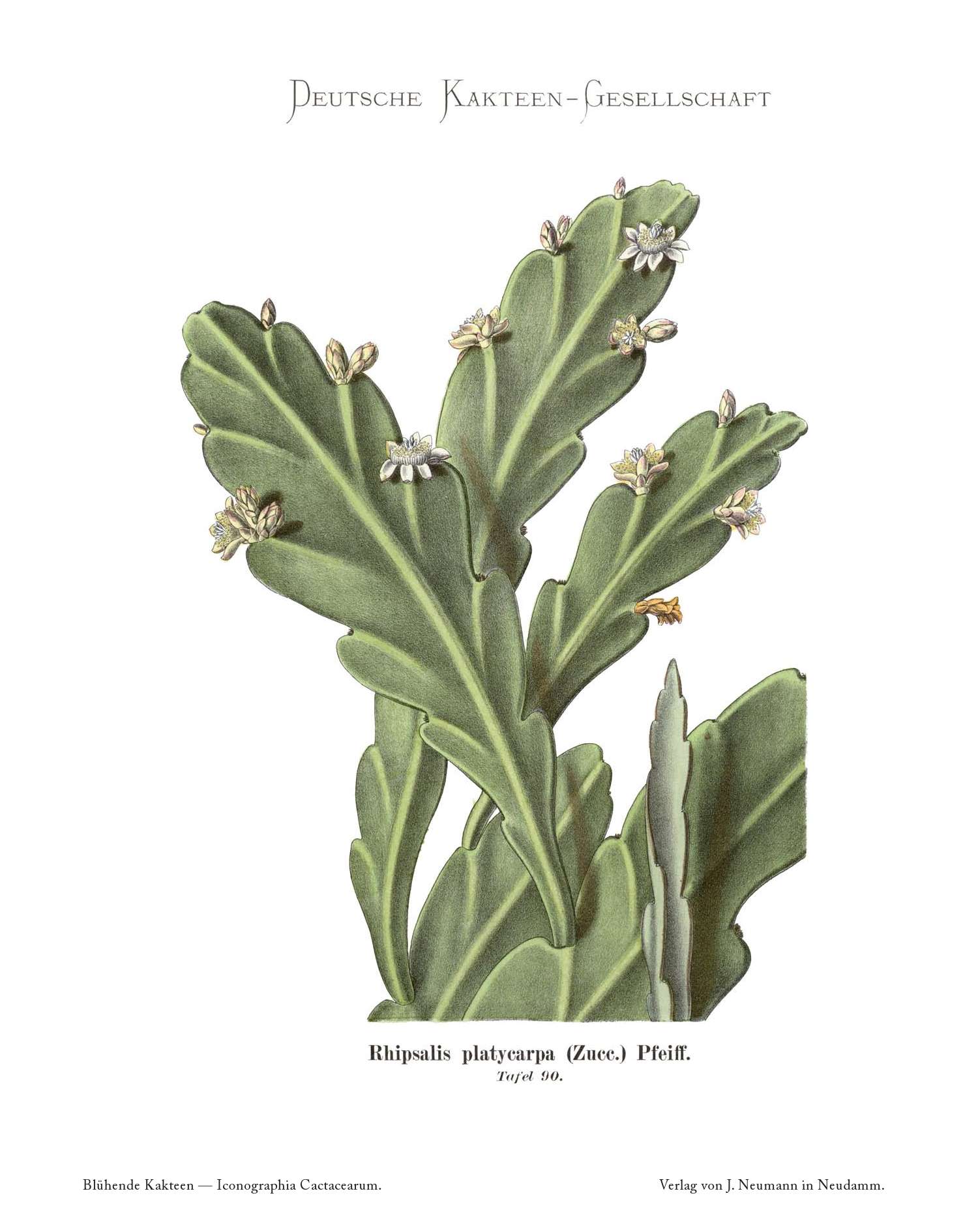 no full size  illustration available (3a)