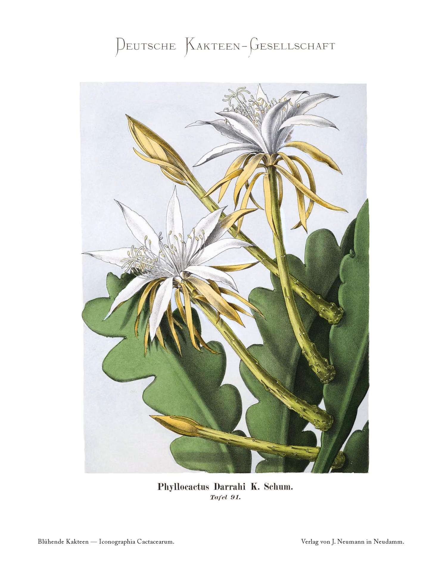 no full size  illustration available (3a)